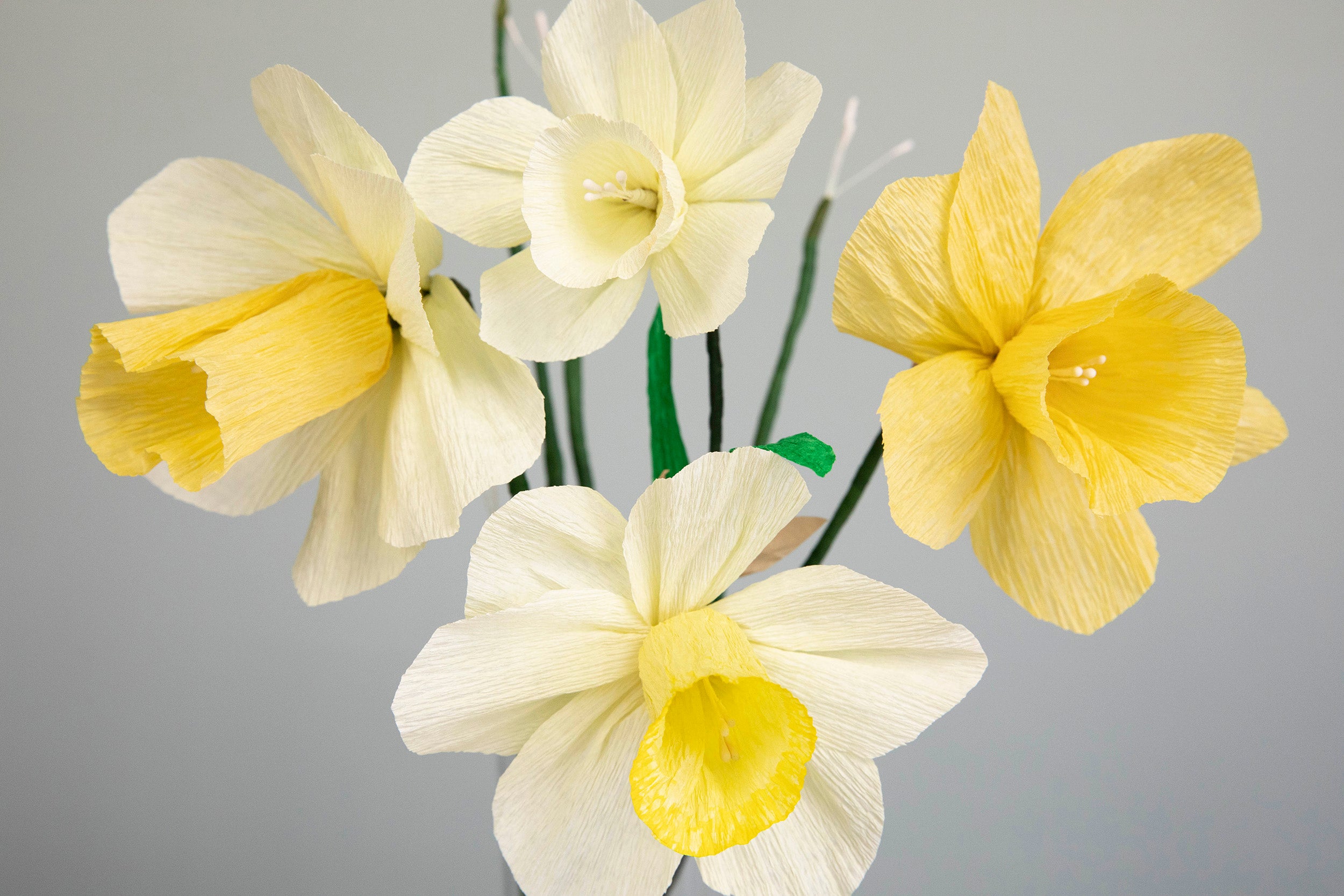 How to Make Crepe Paper Daffodils