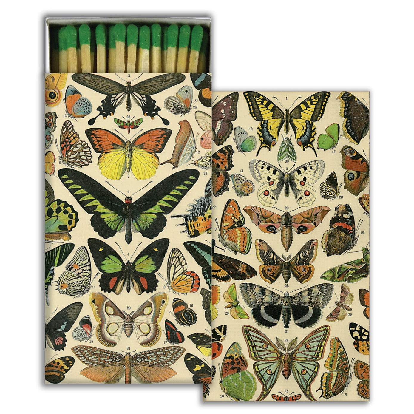 Match sticks with green tips in a box with illustrated species of butterflies on it.