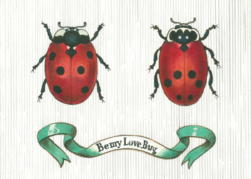 Two red ladybugs with black spots and a green ribbon on a white background.
