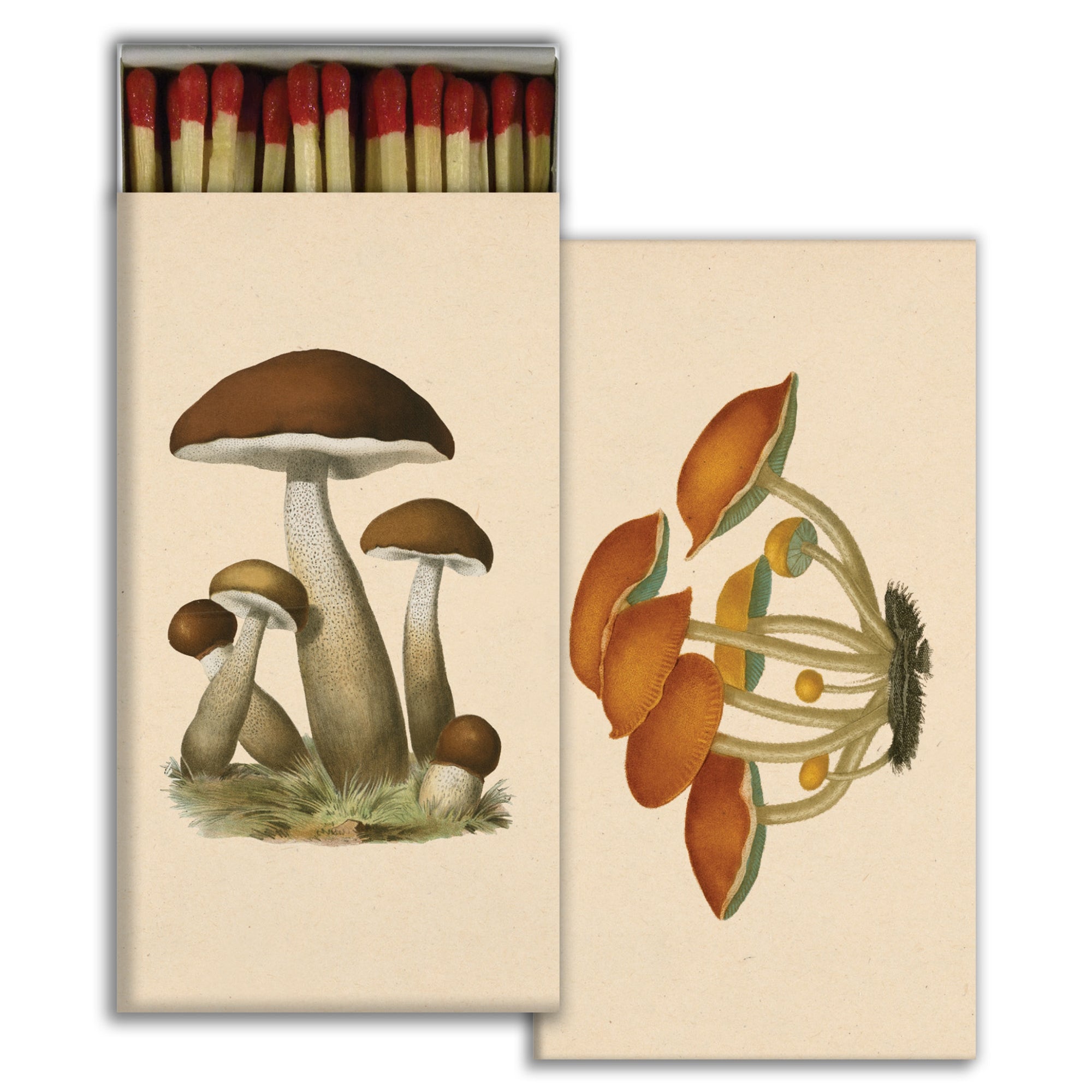 Mushroom Matches Hester & Cook