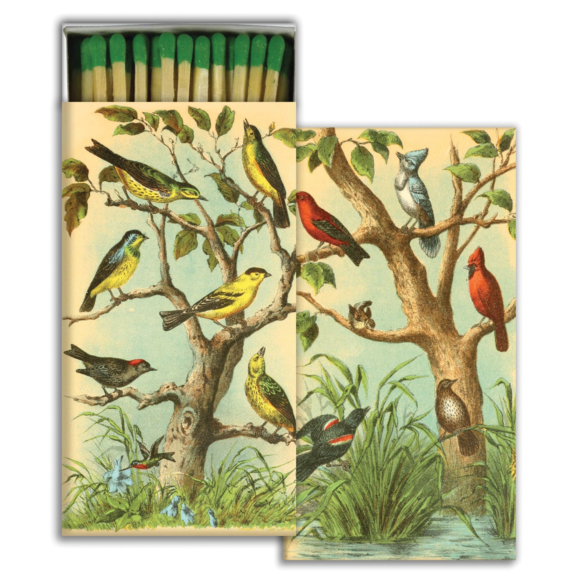 A box of safety matches with a printed design of colorful birds on trees.