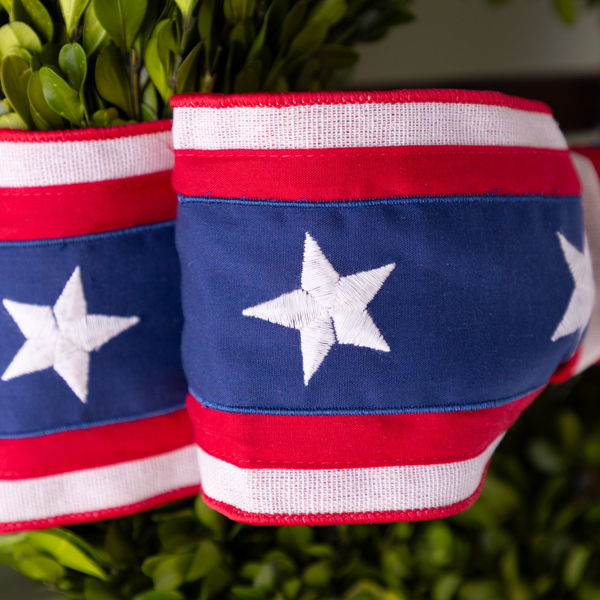 Red, white, and blue fabric ribbon with star patterns on a green leafy background.