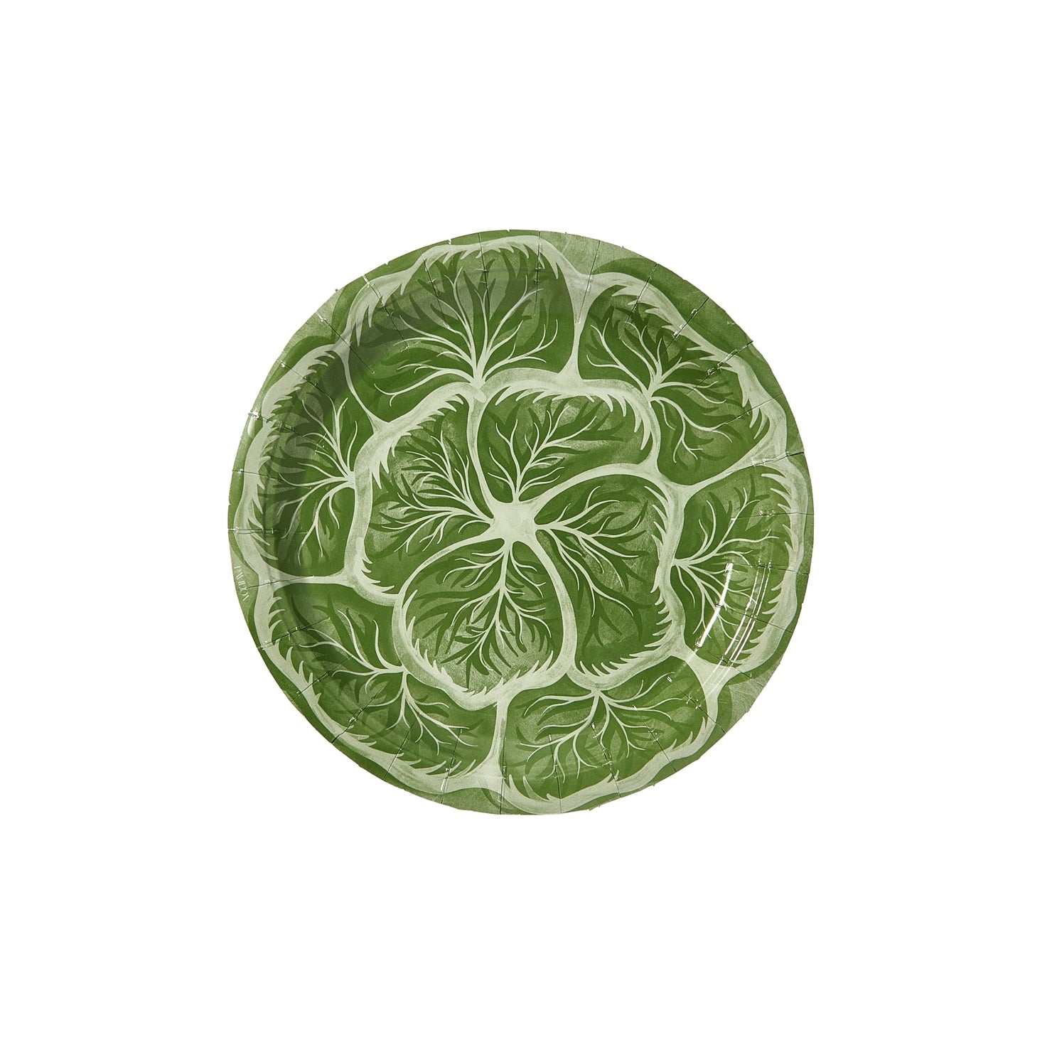 Green cabbage paper plate on a white background.