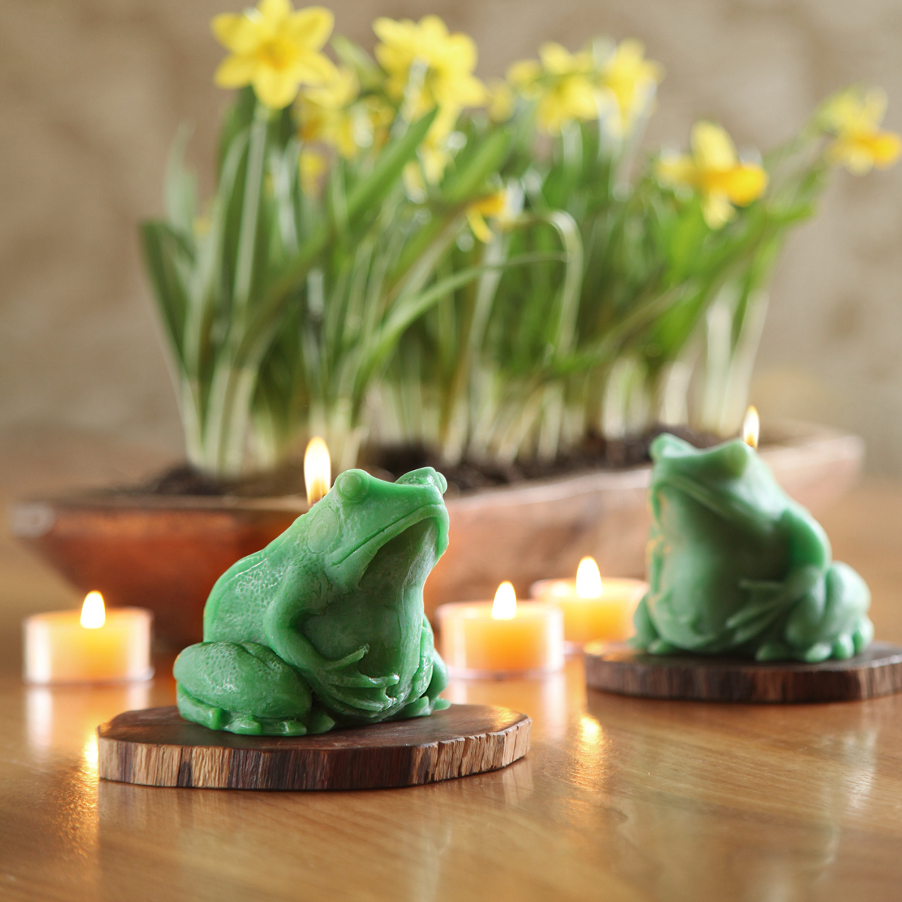 Two lit Beeswax Frog Candles sitting on a wooden table with lit tealights and yellow flowers in the background.