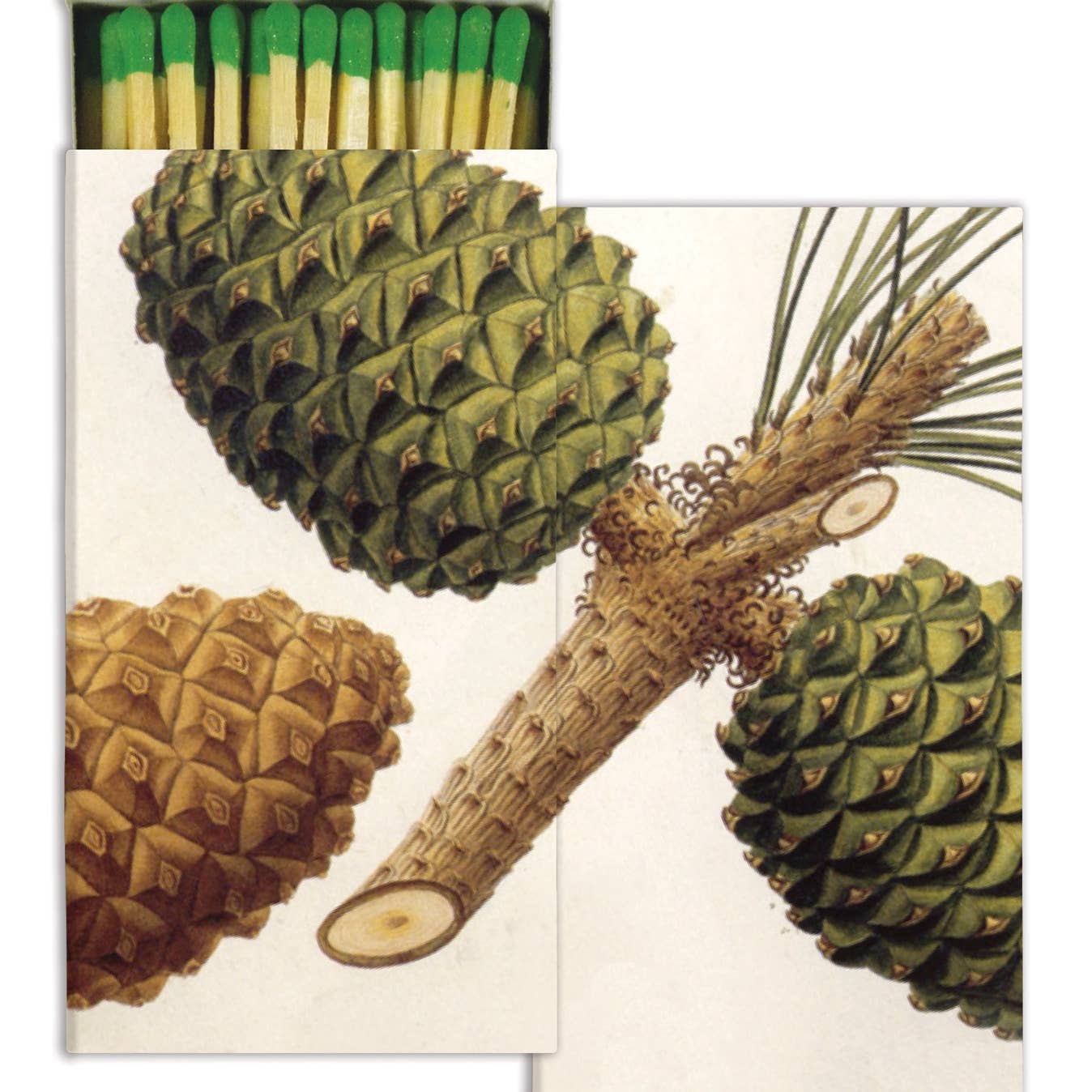 Two boxes of matches next to each other with an illustration of pinecones on them.