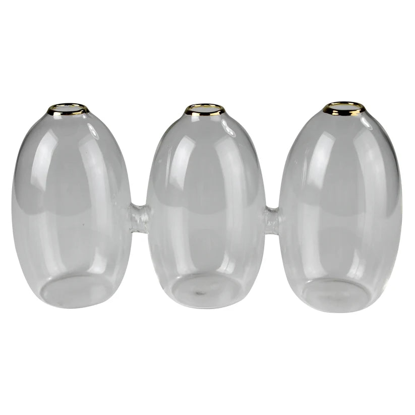 Three vintage-style clear glass bud vases fused together in a row, featuring delicate gold-painted rims and holding single-stem dried botanicals against a neutral background.