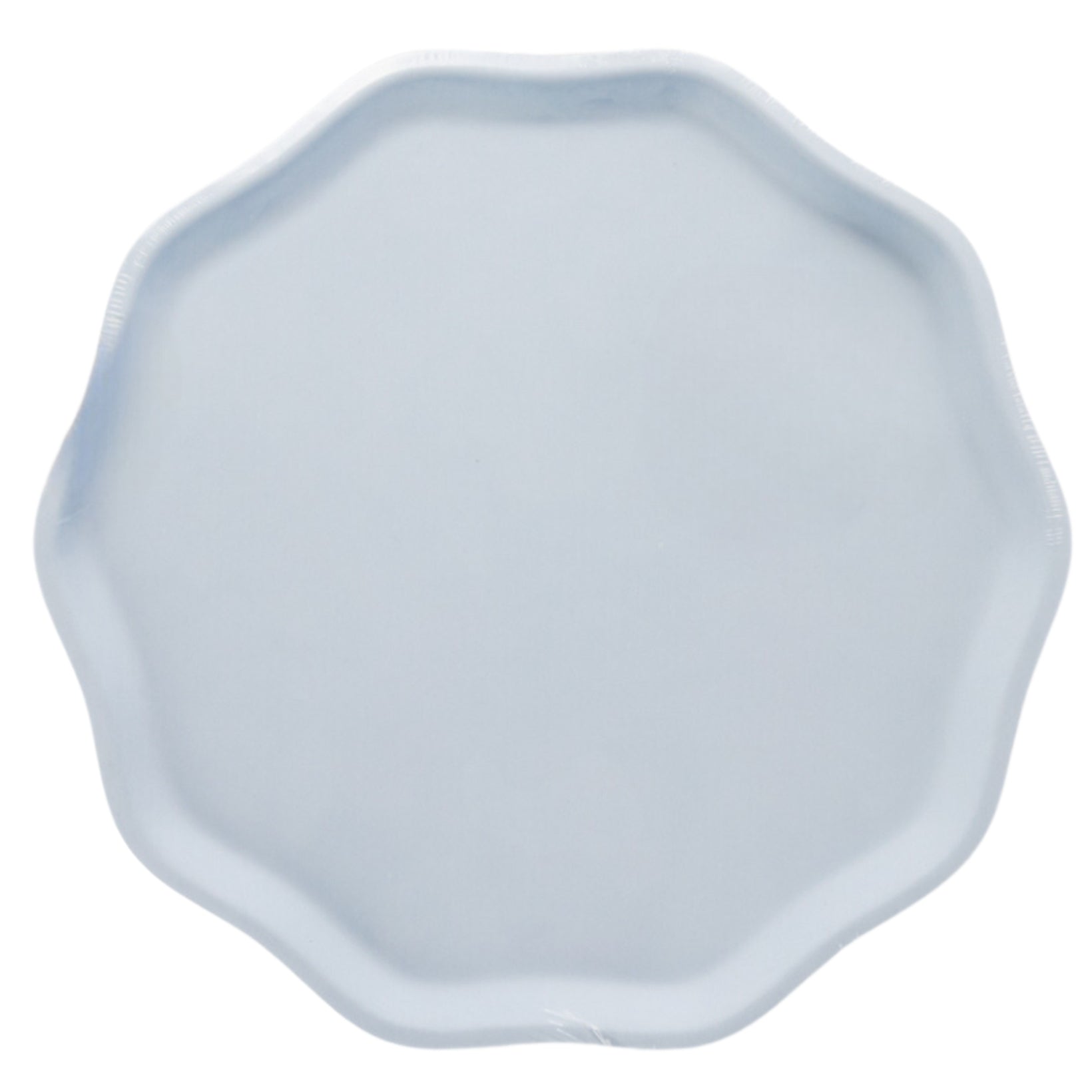 Light blue paper plate on a white background.