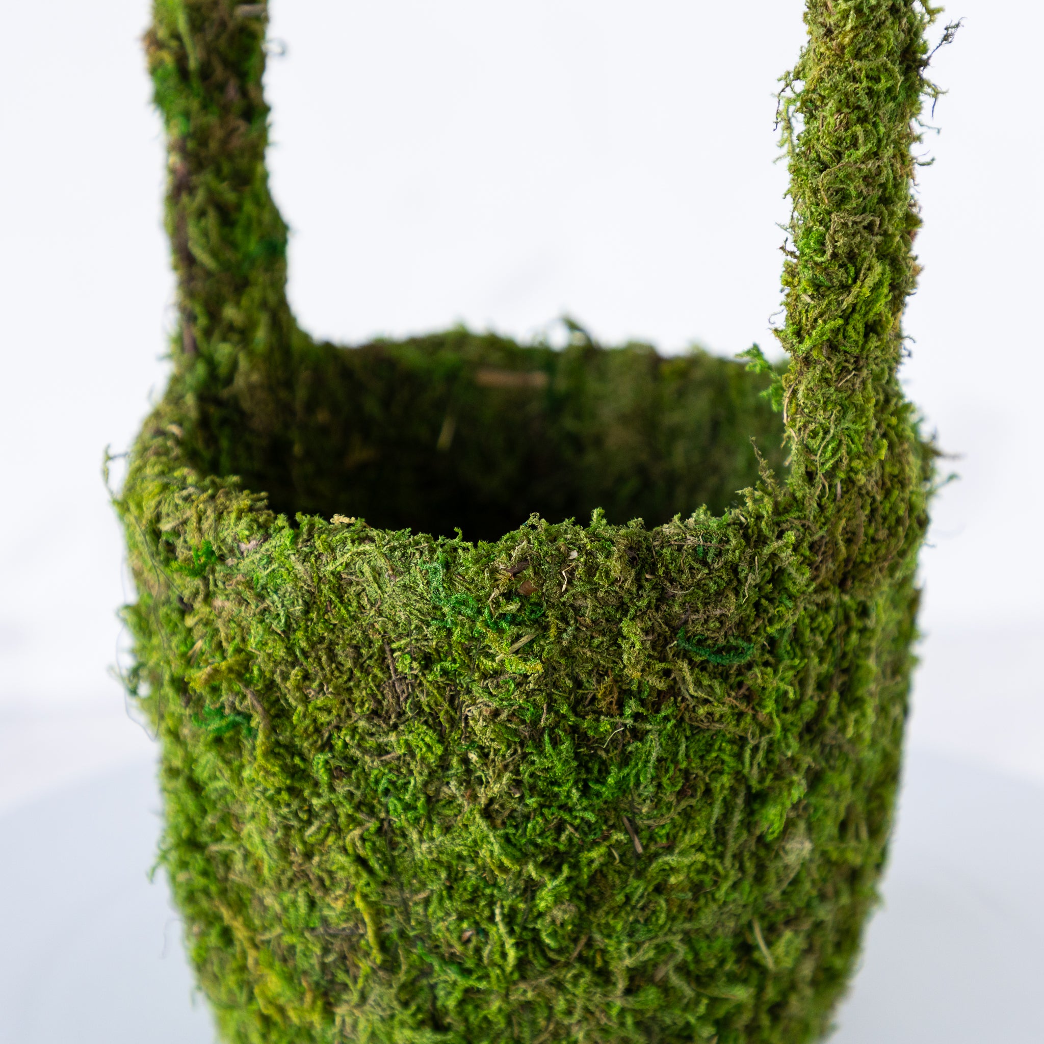 A Decorative Moss Basket with a handle, featuring preserved moss.