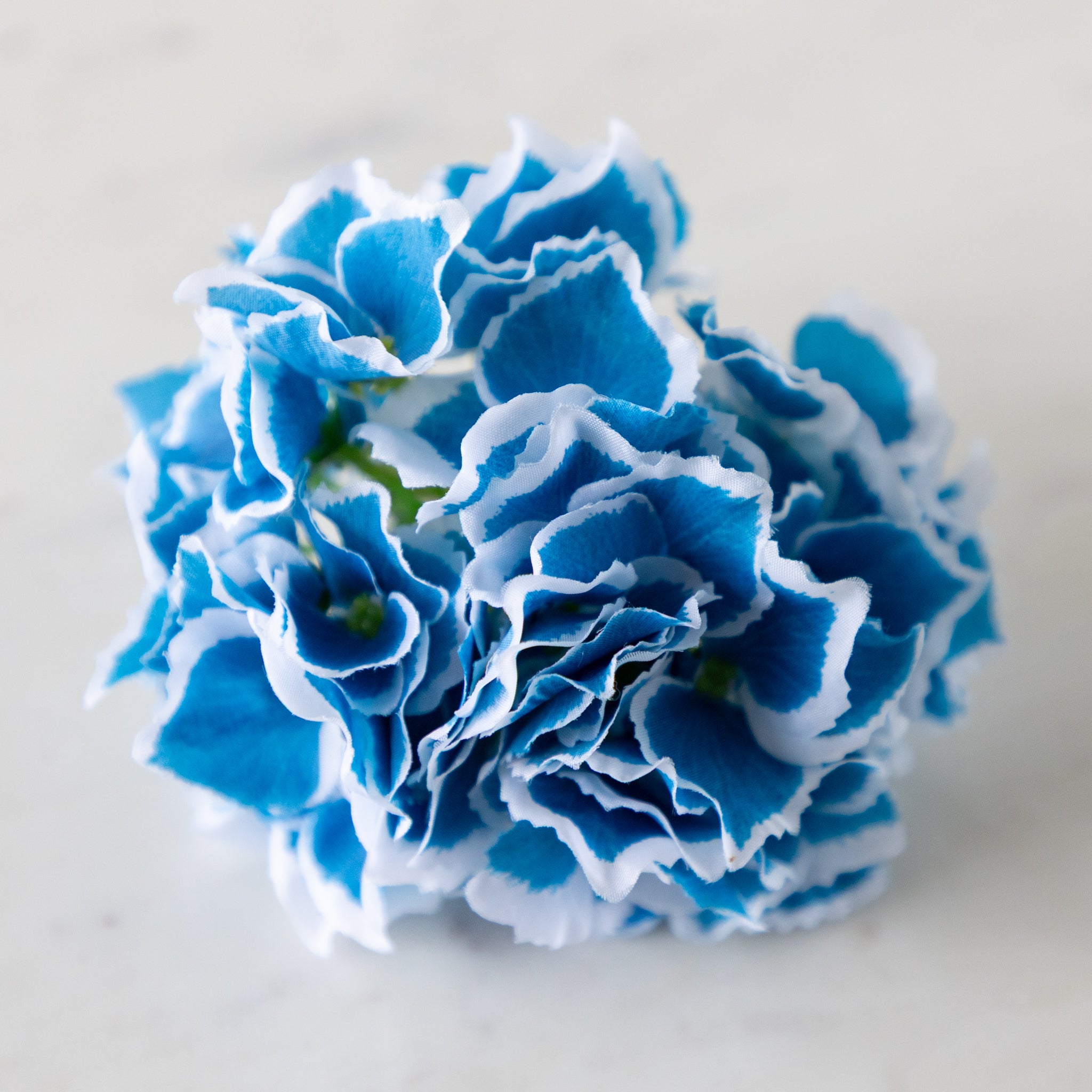A blue Border Hydrangea Napkin Ring with blue petals and a white border, on a marble surface.