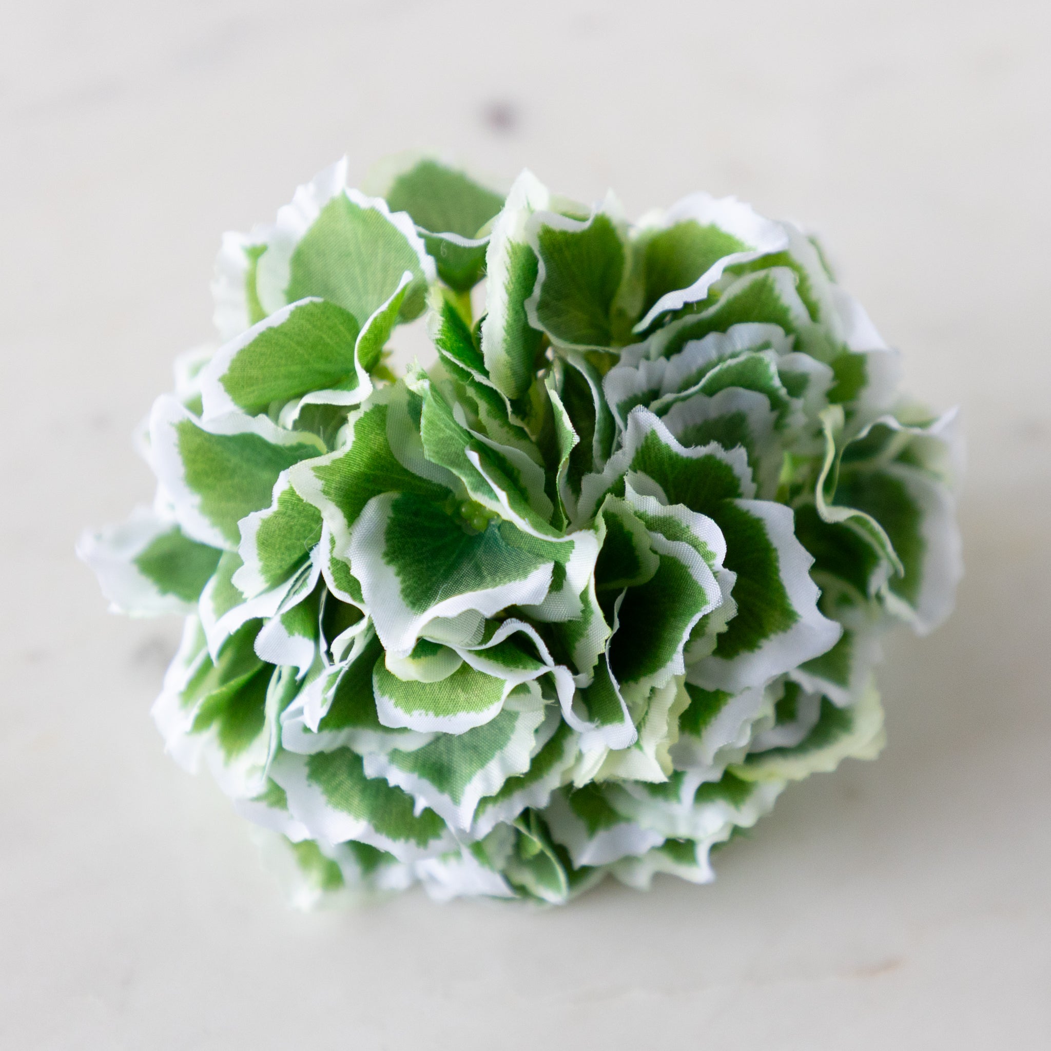 A green Border Hydrangea Napkin Ring with green petals and a white border, on a marble surface.