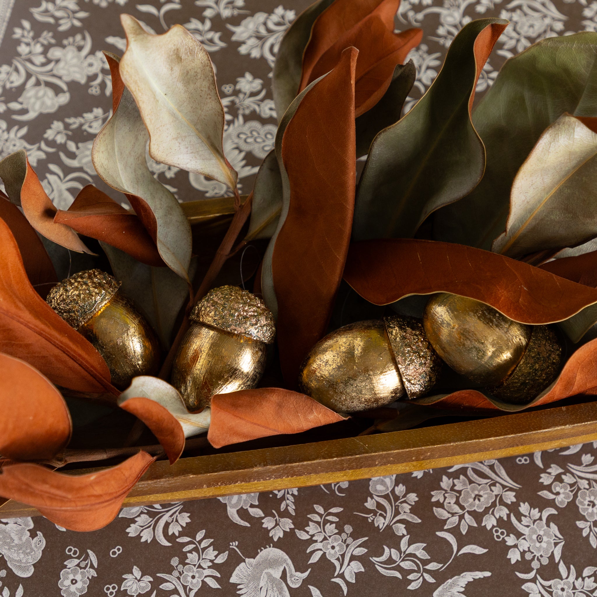 Gold Acorns, Box of 8
