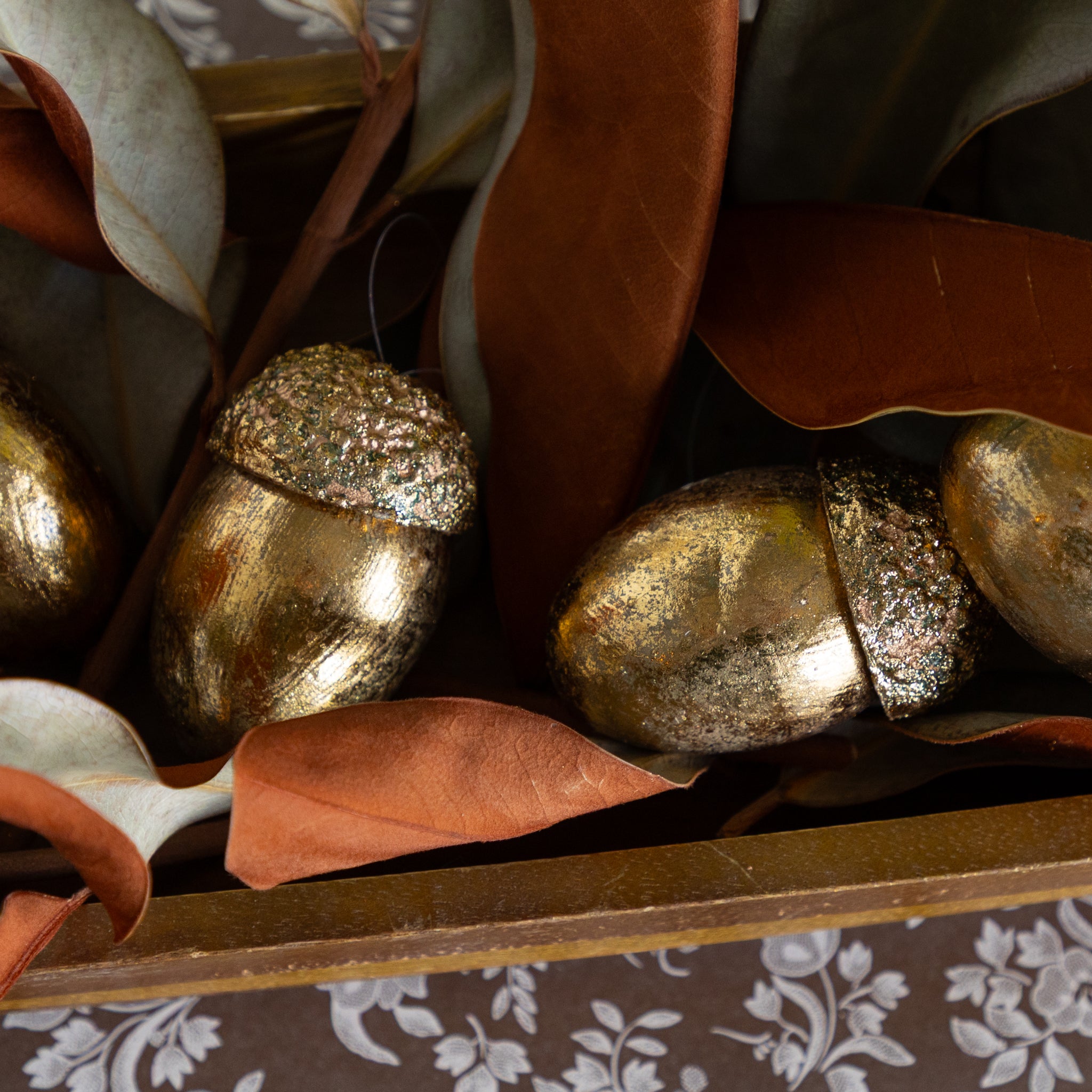 Gold Acorns, Box of 8