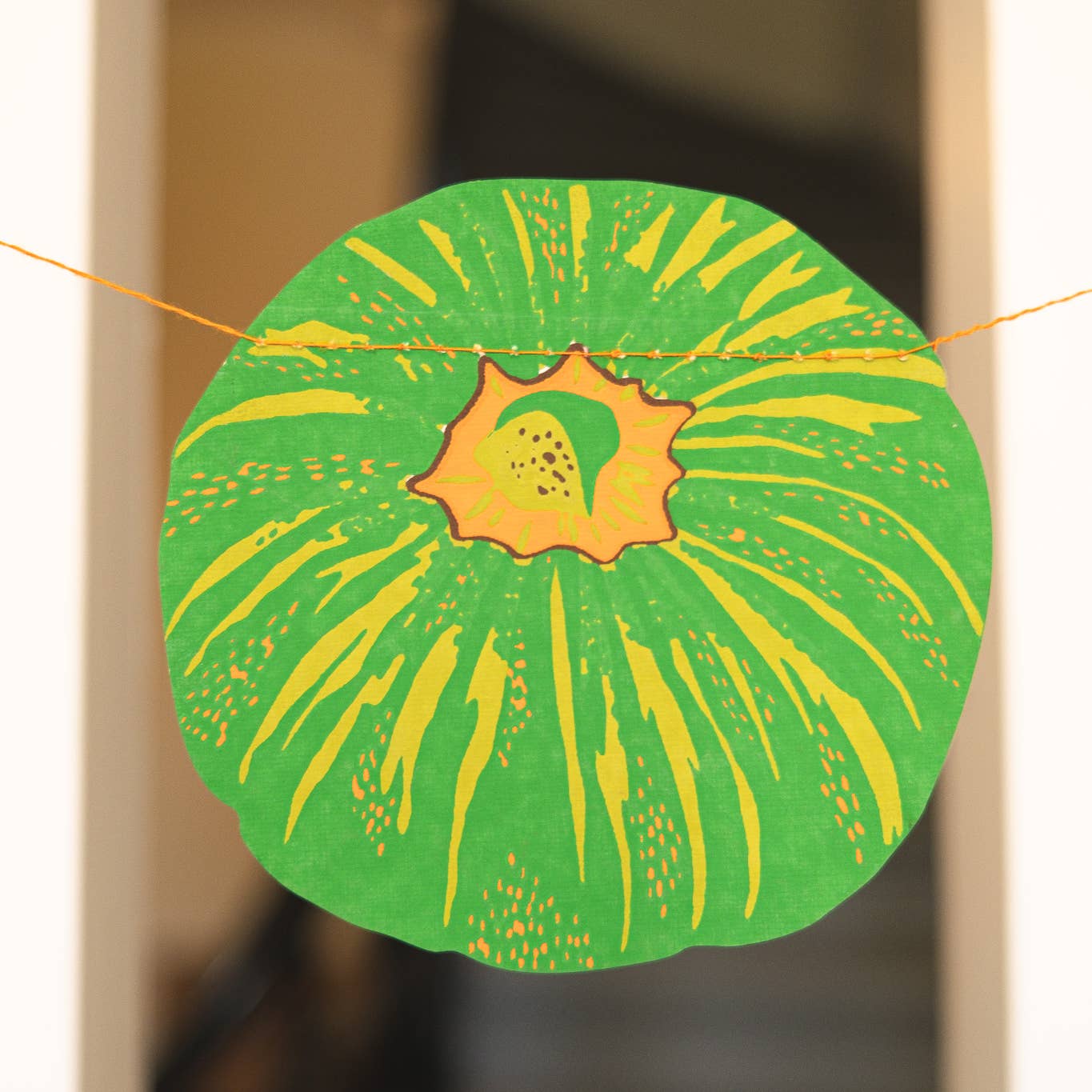 Close up of a green pumpkin.