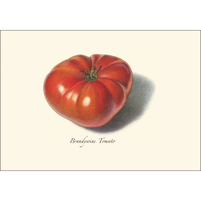 Tomato Assortment Boxed Set of Cards