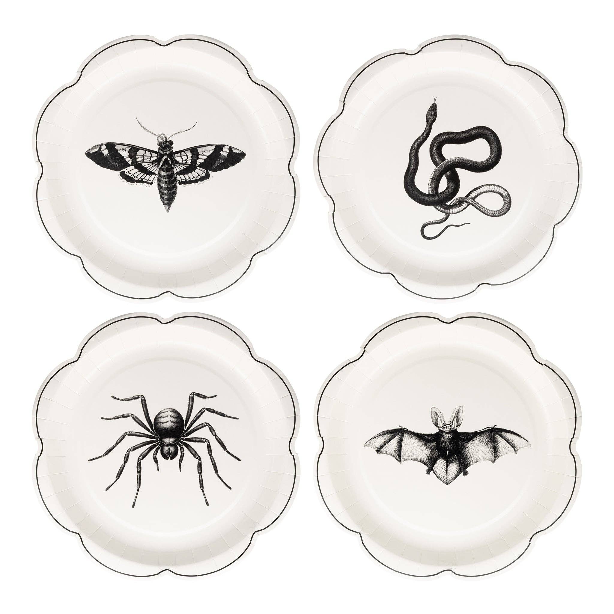 Four white plates with black illustrations of a moth, snake, spider, and bat on a white background.