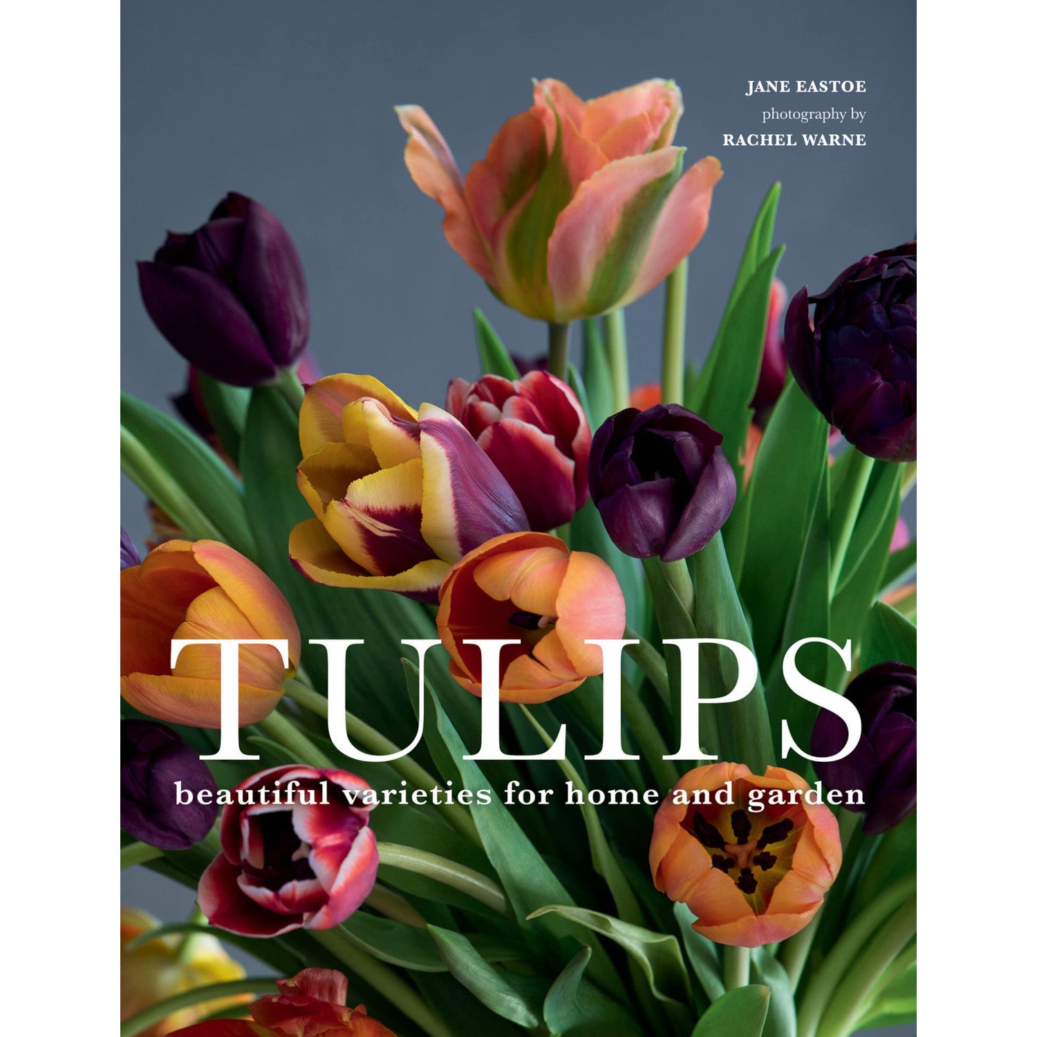 A Gibbs Smith book cover featuring a vibrant gardening bouquet of Tulips, with the title "Tulips" and a subtitle "beautiful varieties for home and garden.