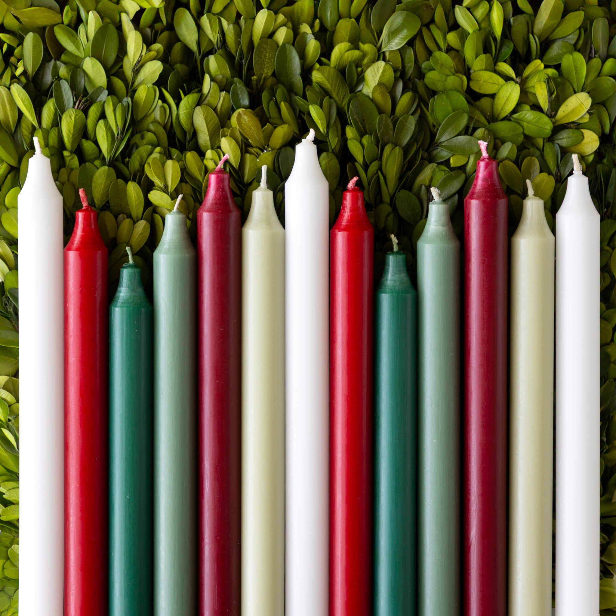 An assortment of holiday colored taper candles laying on boxwood.