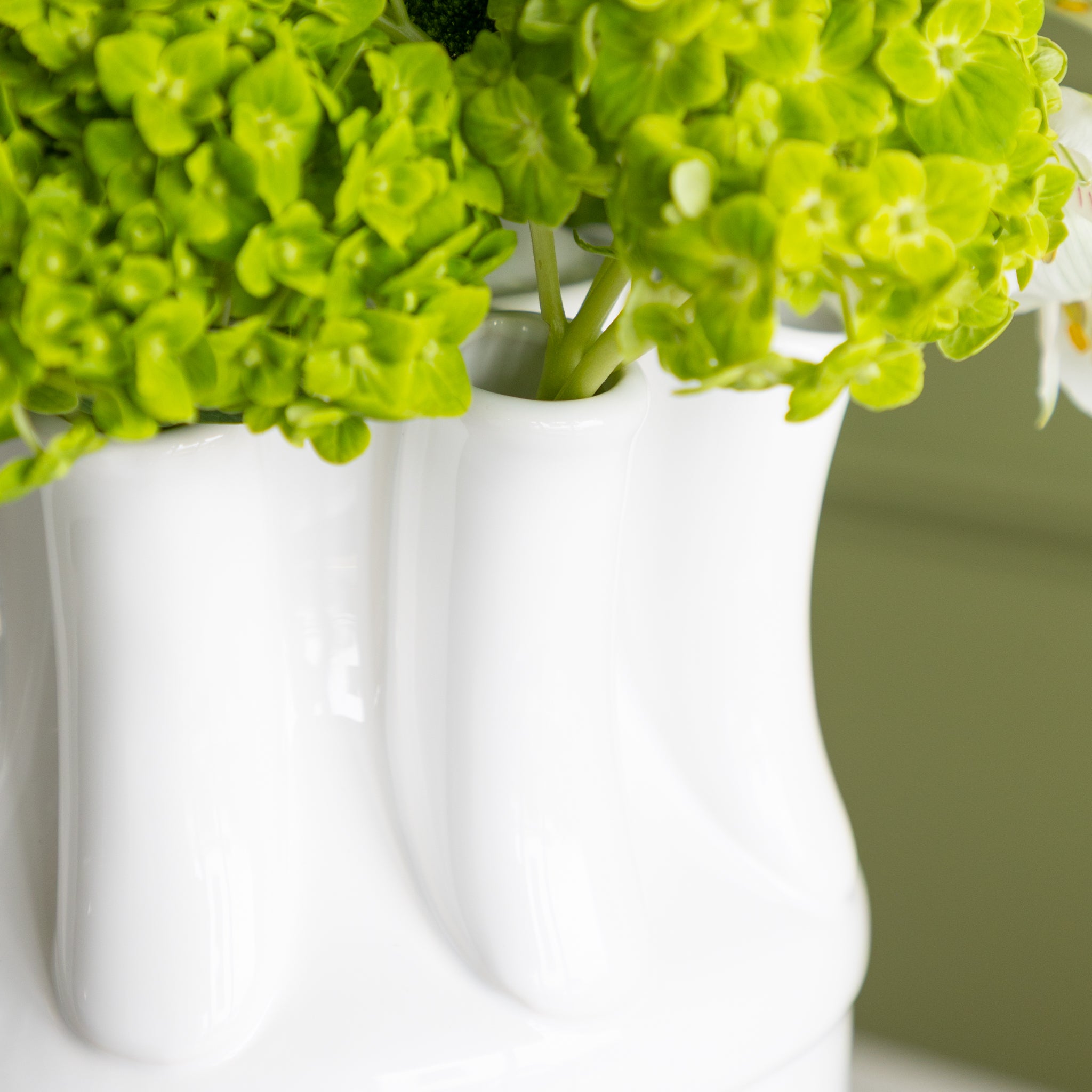 Green plant in a white vase against a neutral background.