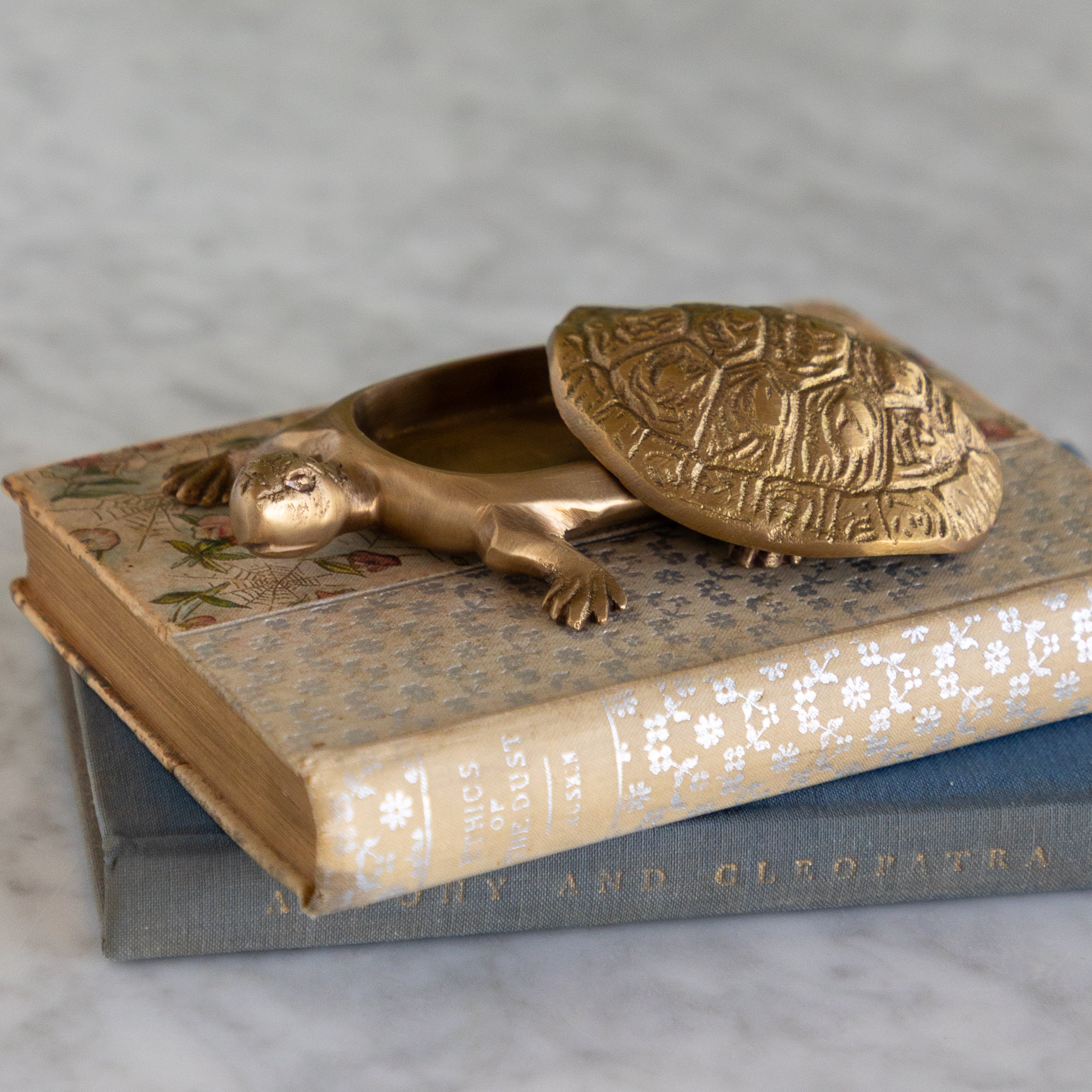 A small metallic turtle-shaped object with a hinged lid, shown resting on top of vintage books against a soft gray marble-like background.