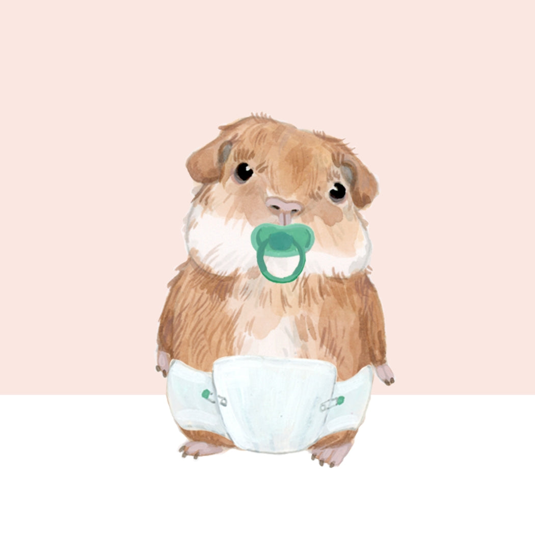 A Dear Hancock hand-painted greeting card featuring an image of a Guinea Pig holding a pacifier.