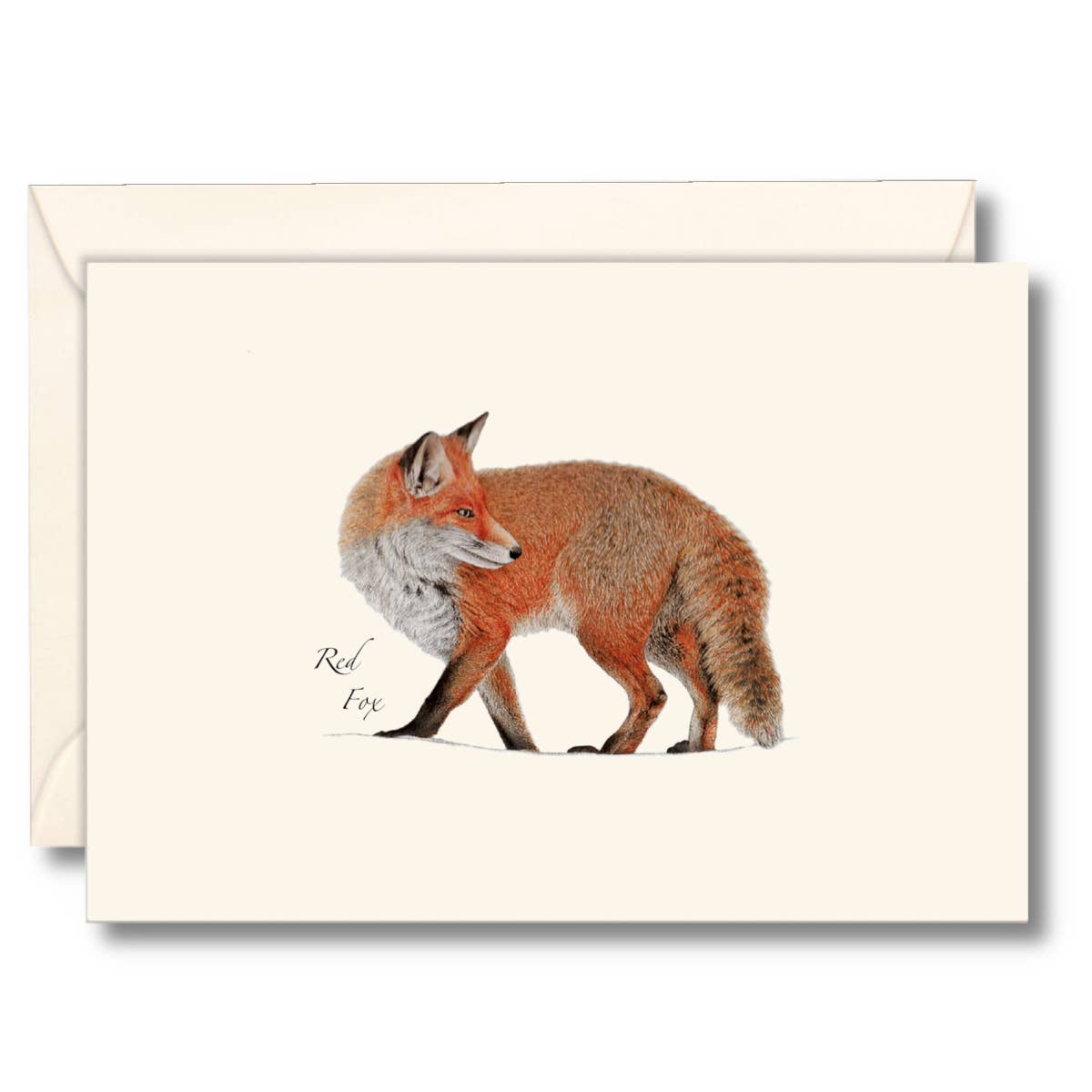 A cream-colored greeting card featuring a detailed illustration of a red fox, shown with a matching cream envelope behind it on a white background.
