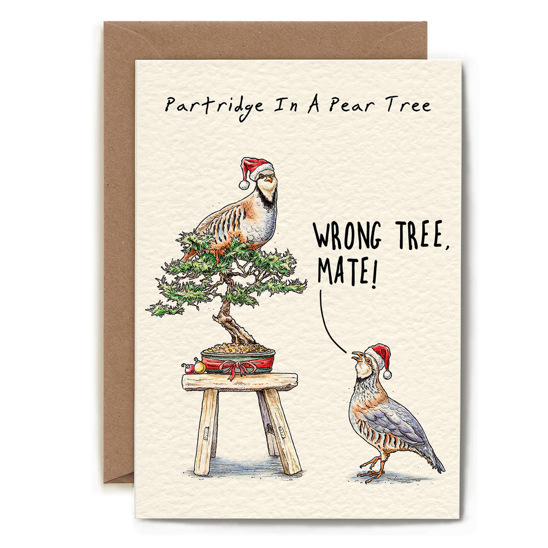 Partridge Christmas Card from Hester &amp; Cook, depicting a humorous twist on the &quot;partridge in a pear tree&quot; theme, with one bird perched atop a pine bonsai and the other making a