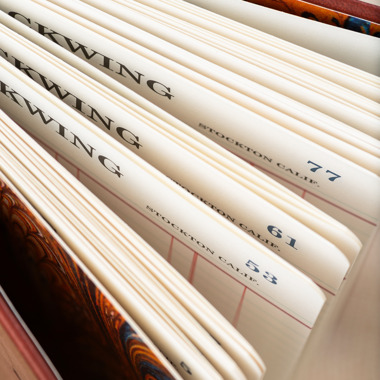 Blackwing Volume 574 notebook pages fanned out.