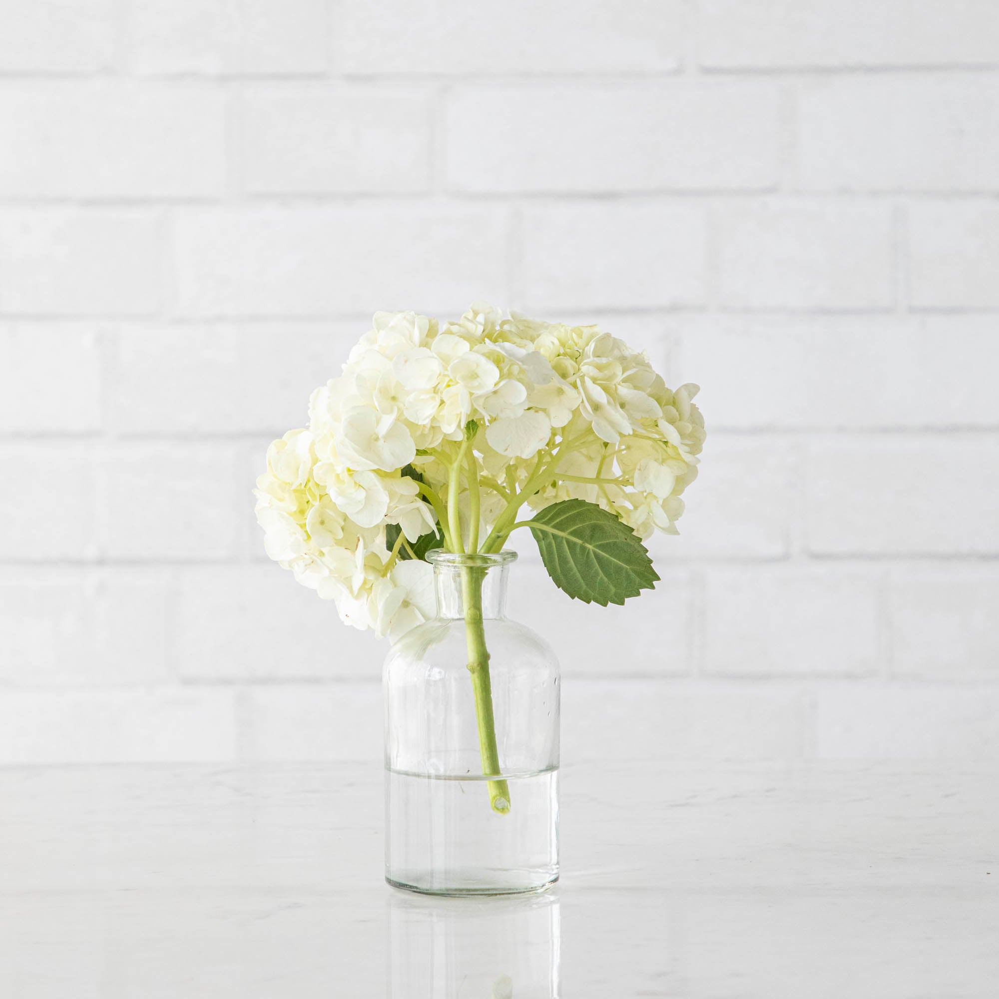 Three Bottleneck Bud Vases from Accent Decor with white flowers in them.