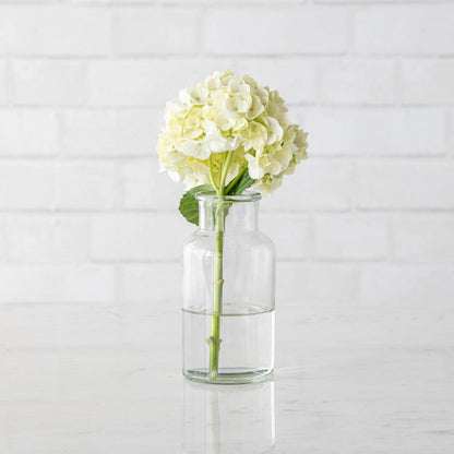 Three Bottleneck Bud Vases from Accent Decor with white flowers in them.