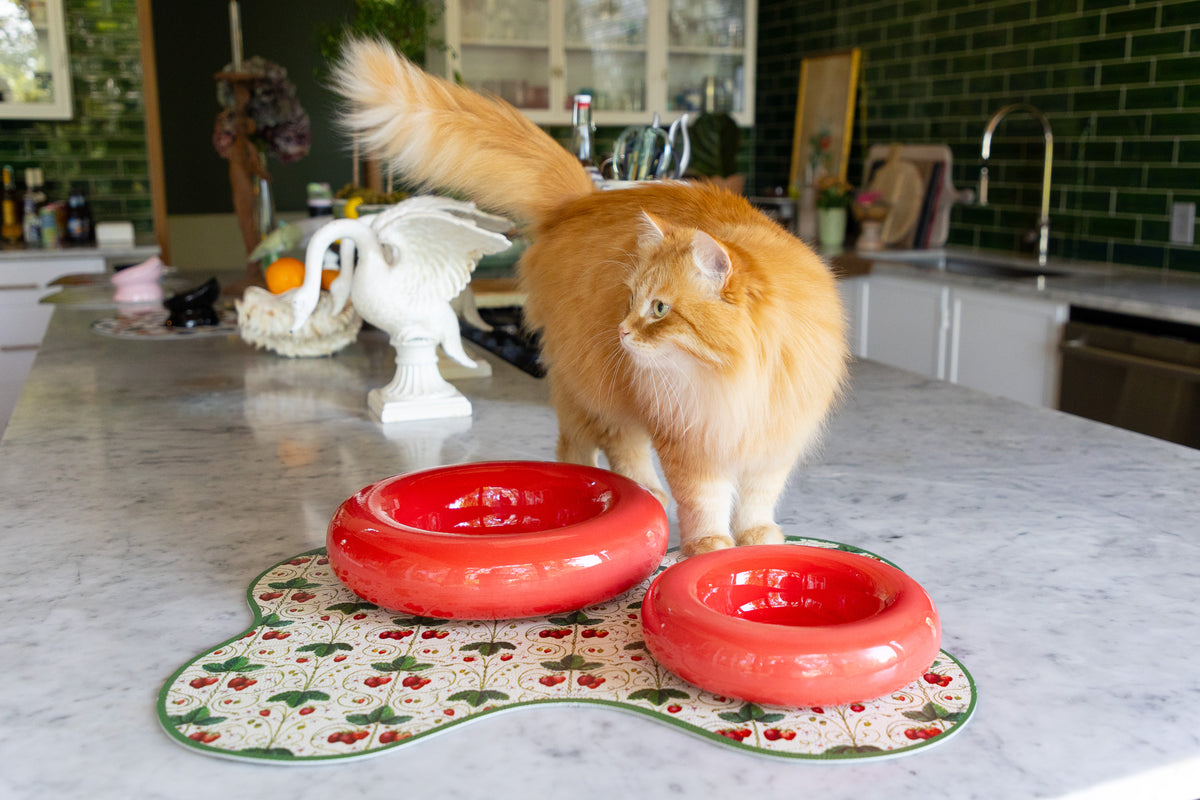 A fluffy orange cat stands on a marble kitchen counter next to a set of red ceramic bowls, with a decorative printed mat featuring strawberries. The background shows a softly blurred kitchen interior with plants and decor.