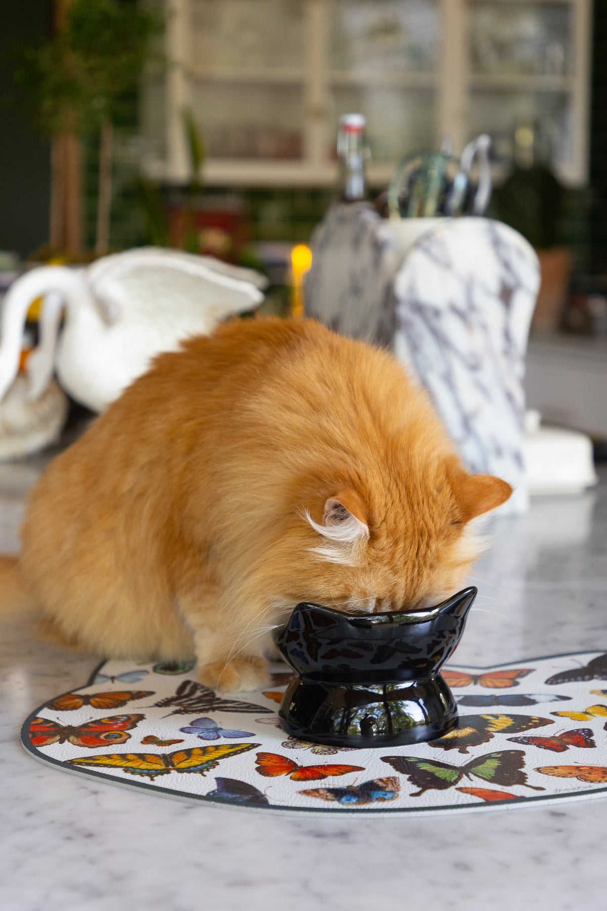 An orange fluffy cat drinking from a small black ceramic bowl placed on a butterfly-patterned mat on a marble countertop.