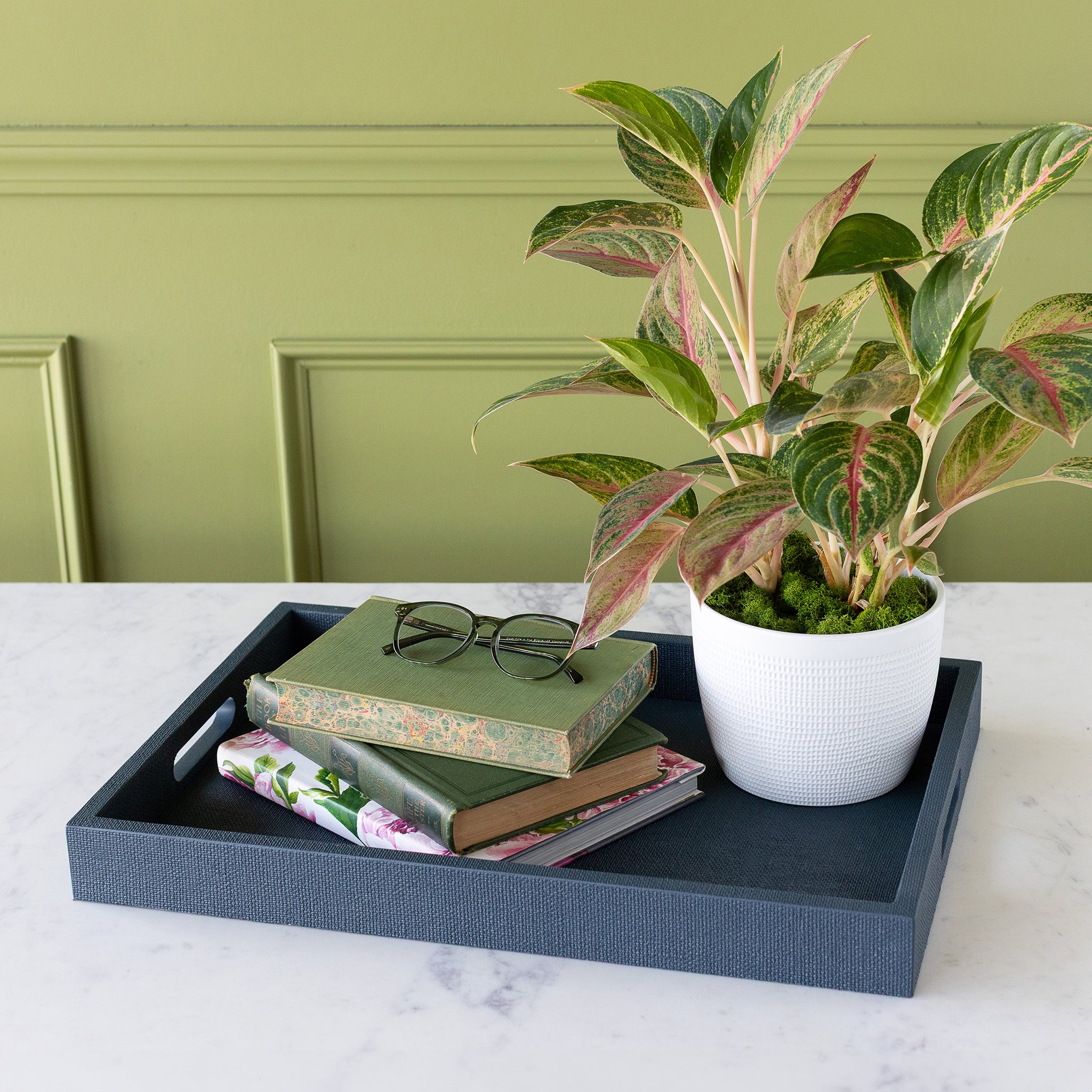 Indigo St. Tropez Decorative Tray with books and a plant on a marble surface against a green wall.
