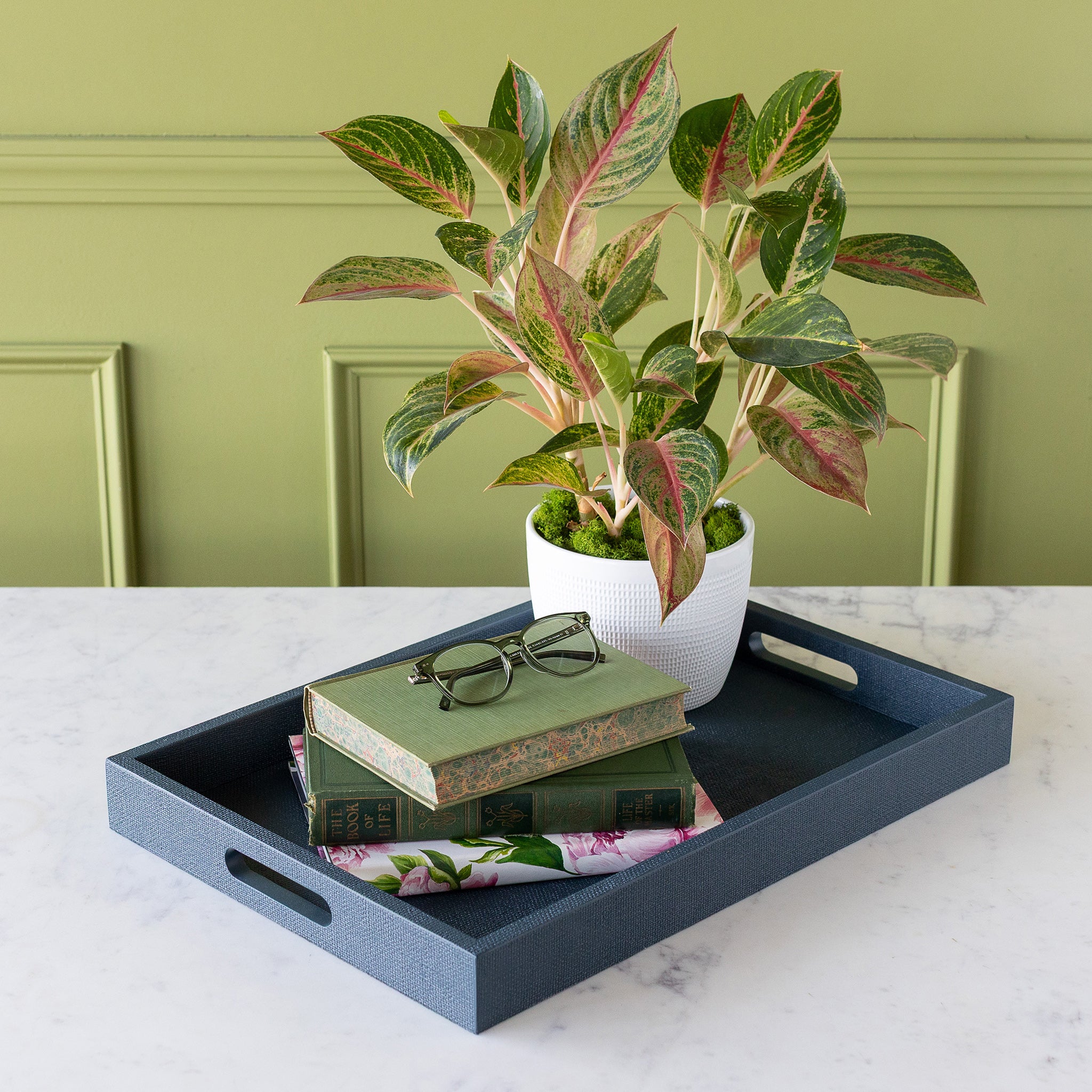 Indigo St. Tropez Decorative Tray with books and a plant on a marble surface against a green wall.