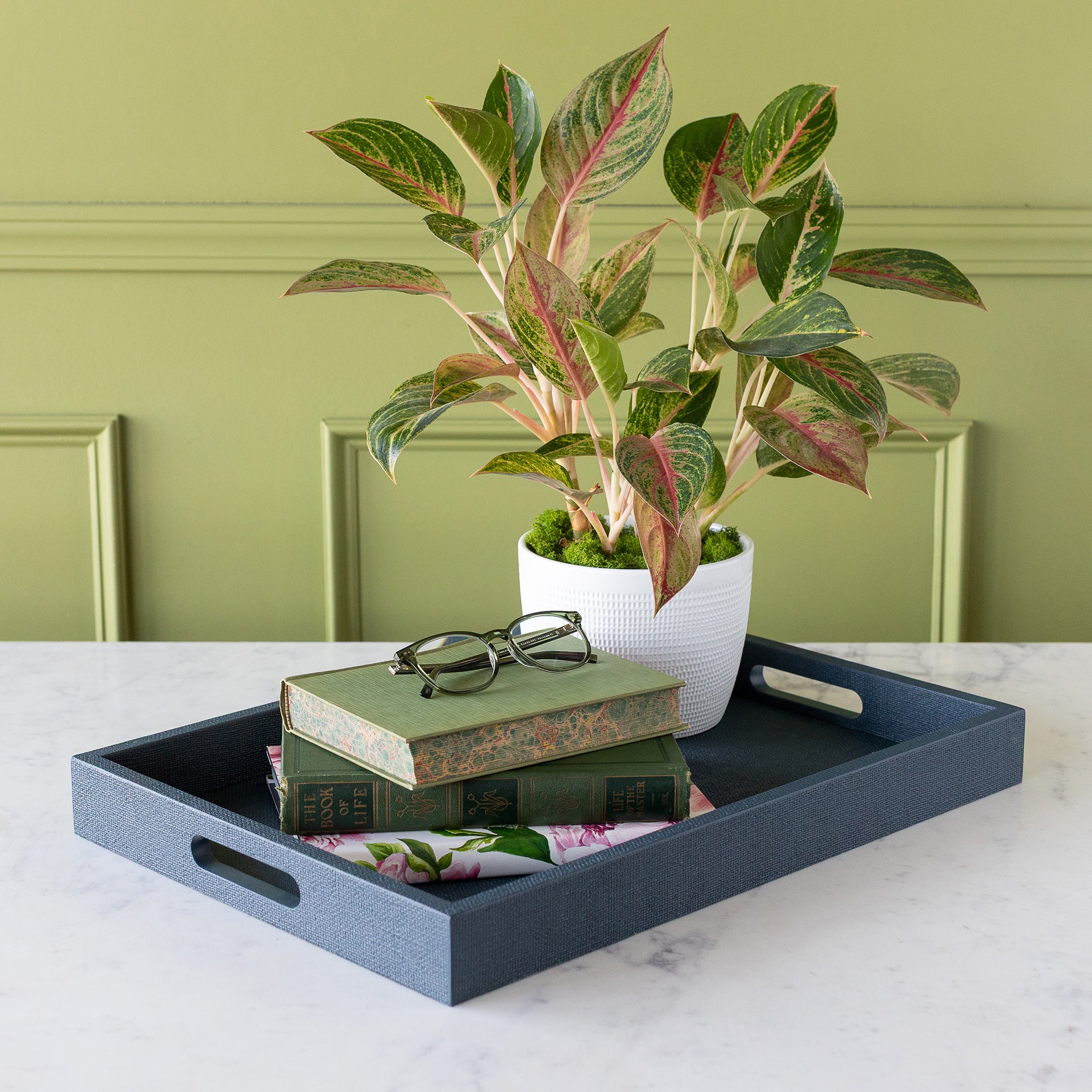 Indigo St. Tropez Decorative Tray with books, a pair of glasses and a plant atop, on a marble surface against a green wall.