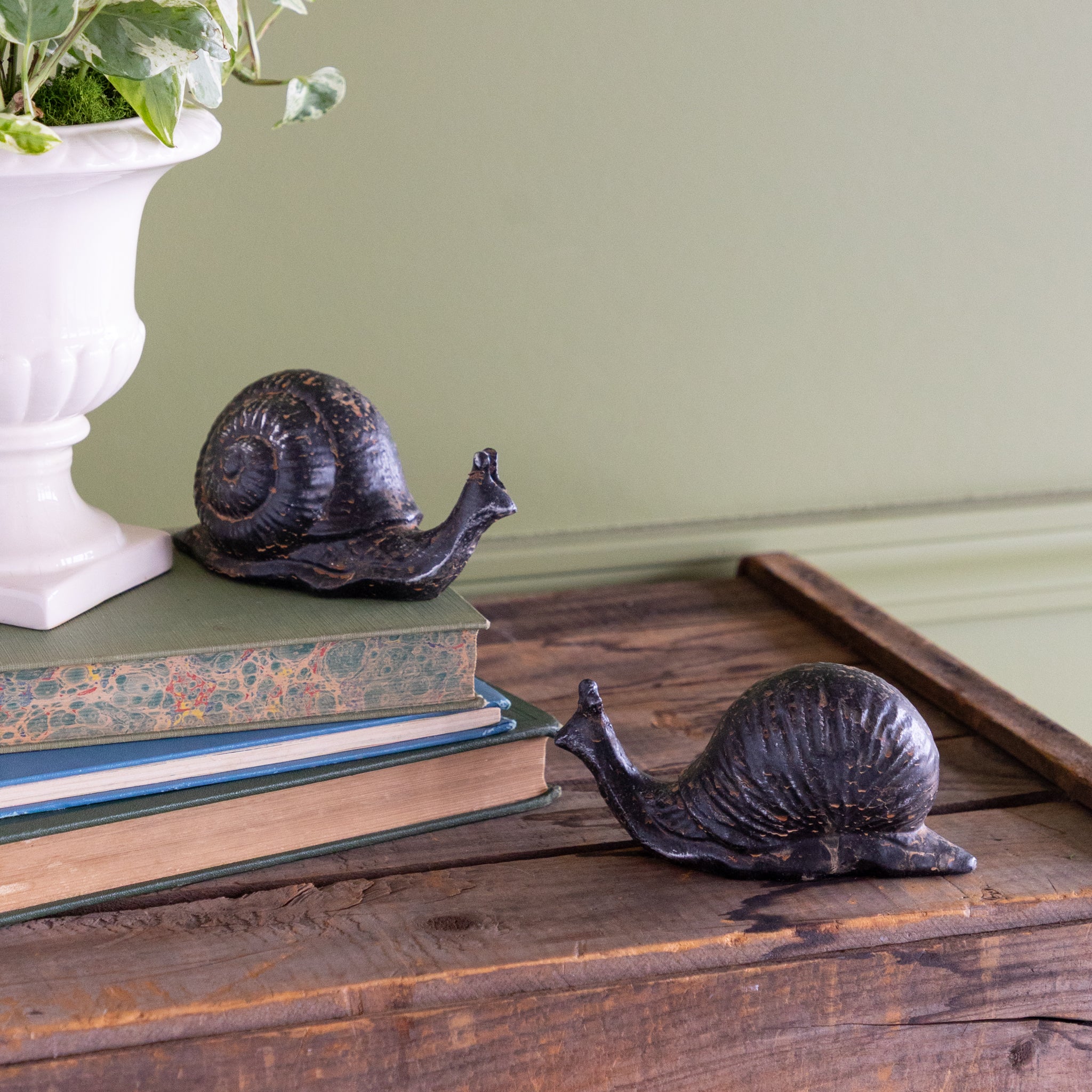 Two metal snail sculptures on a wooden surface with books and a plant in the background.
