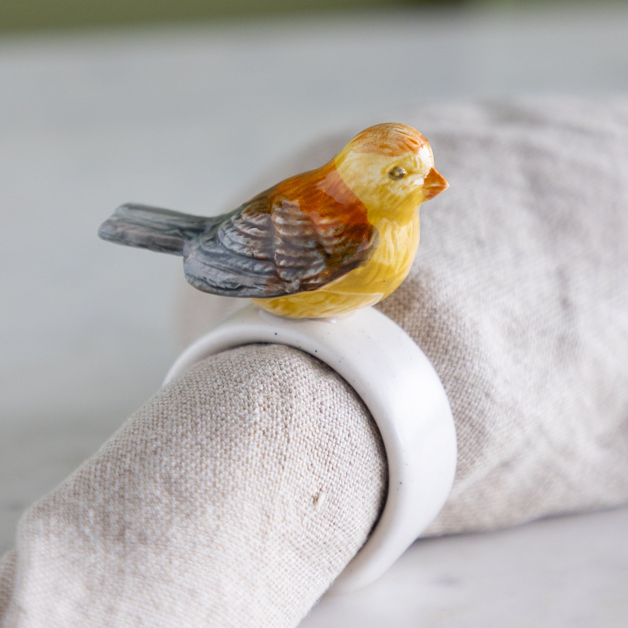 Napkin ring with colorful bird design around a folded beige napkin against a neutral background.