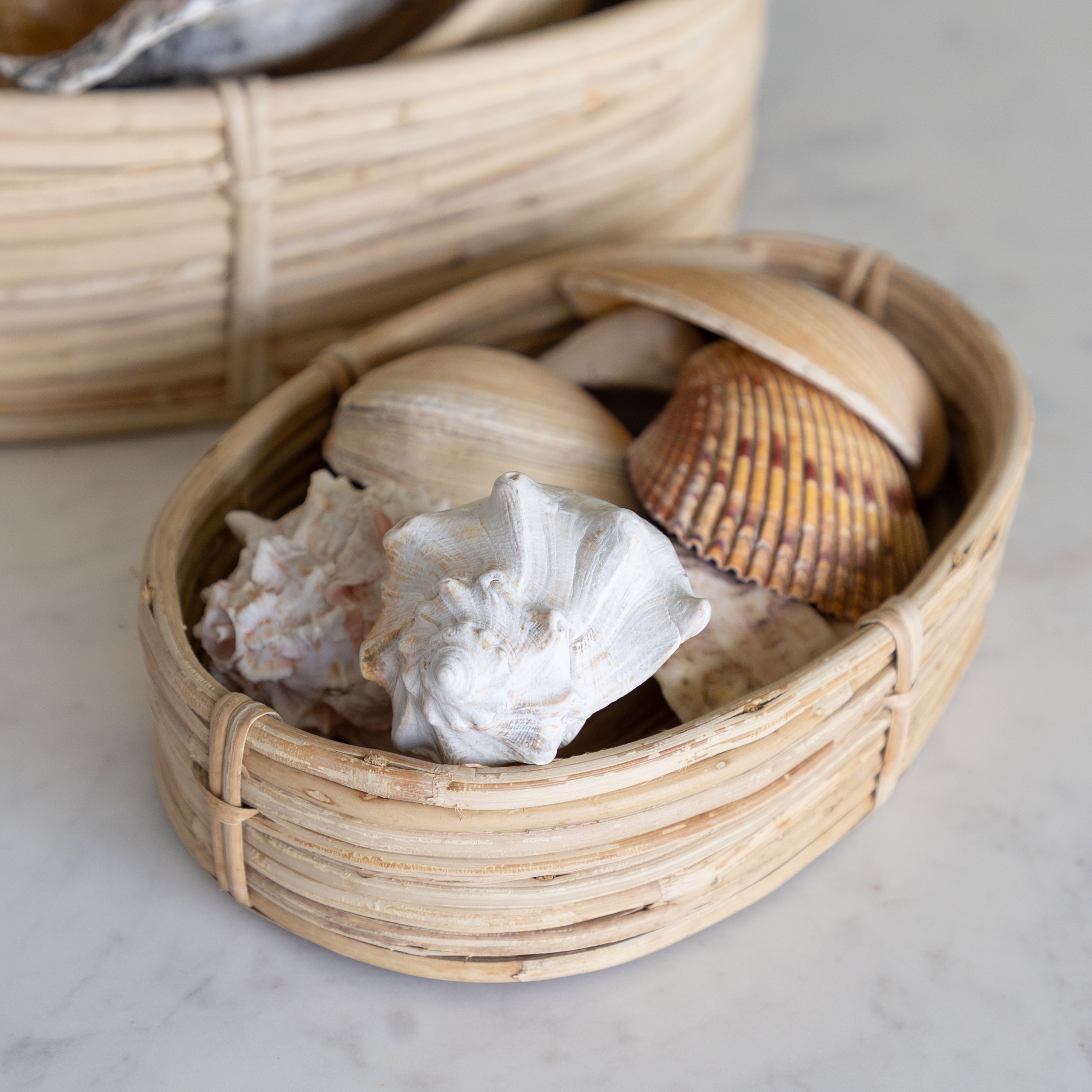 Wicker basket with seashells on a light background