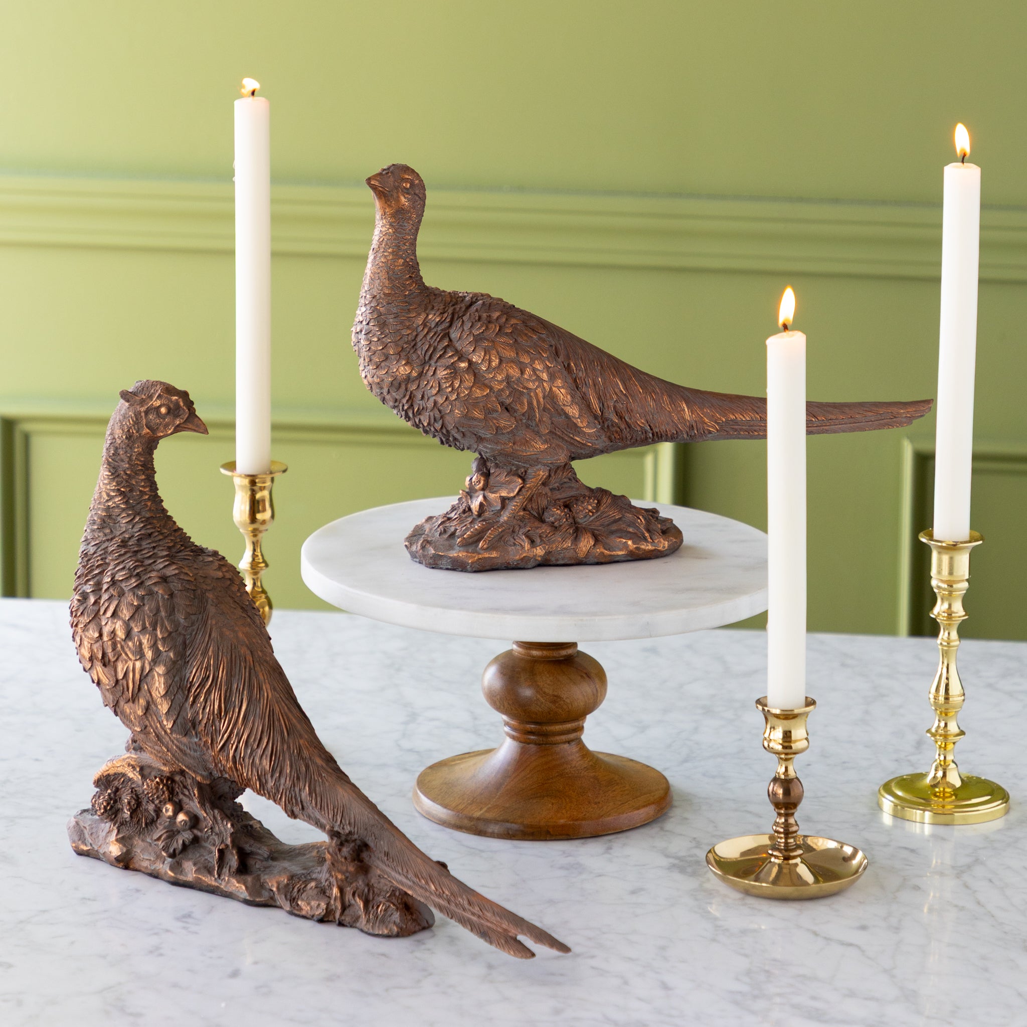 Bronze Pheasant