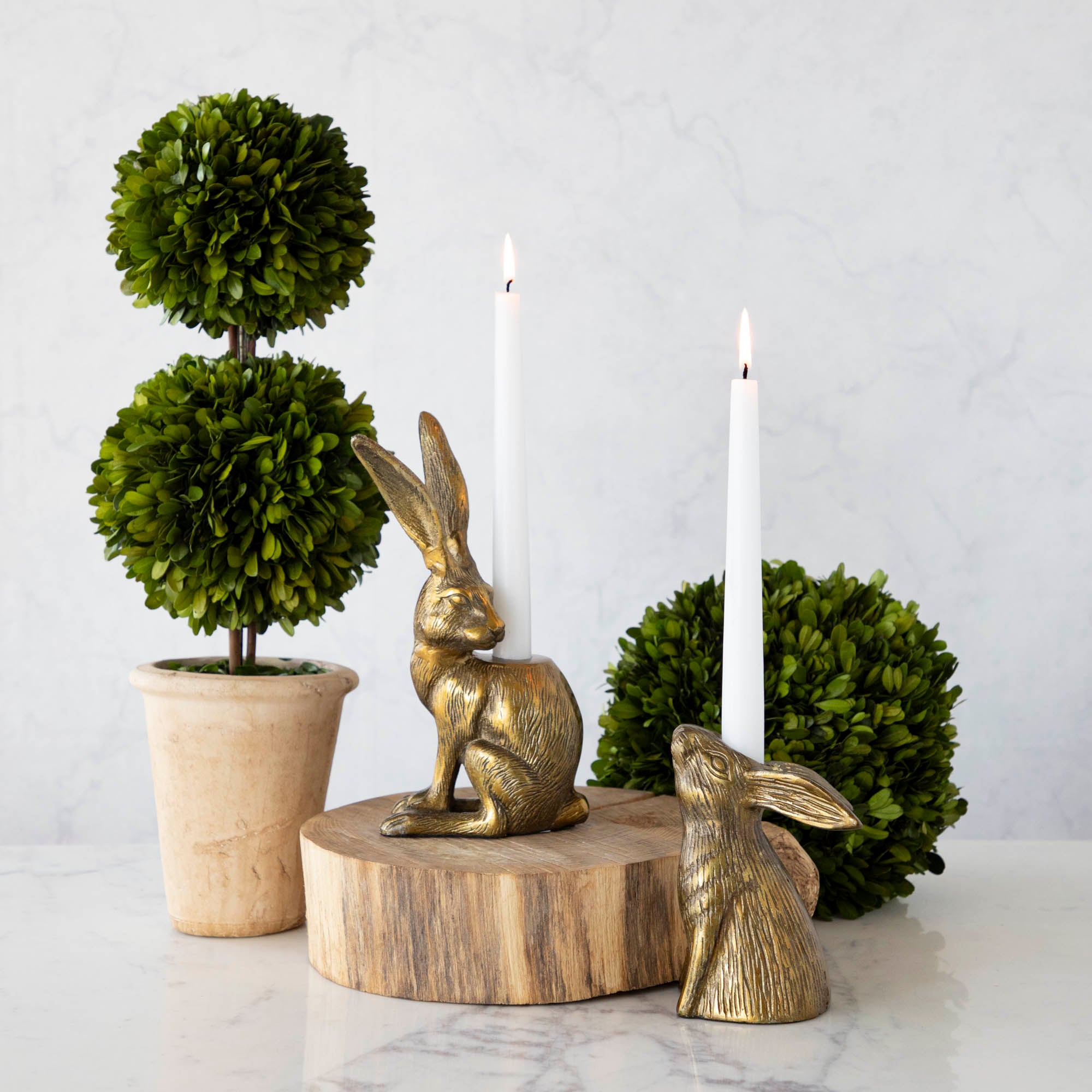 Halcyon Hare Taper Candleholders with lit candles surrounded by boxwood.