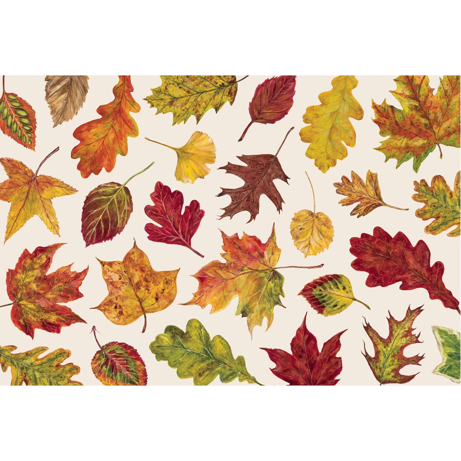 An illustration of various, colorful fall leaves in yellow, orange, red and green scattered on a cream background.