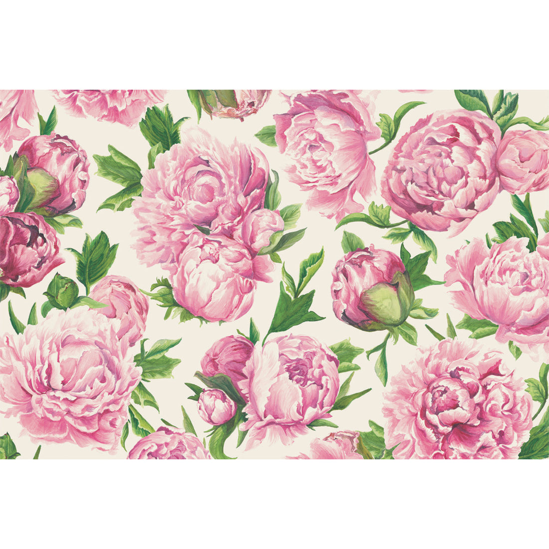 Large, pink, illustrated peony blooms with green leaves, scattered on a white background.