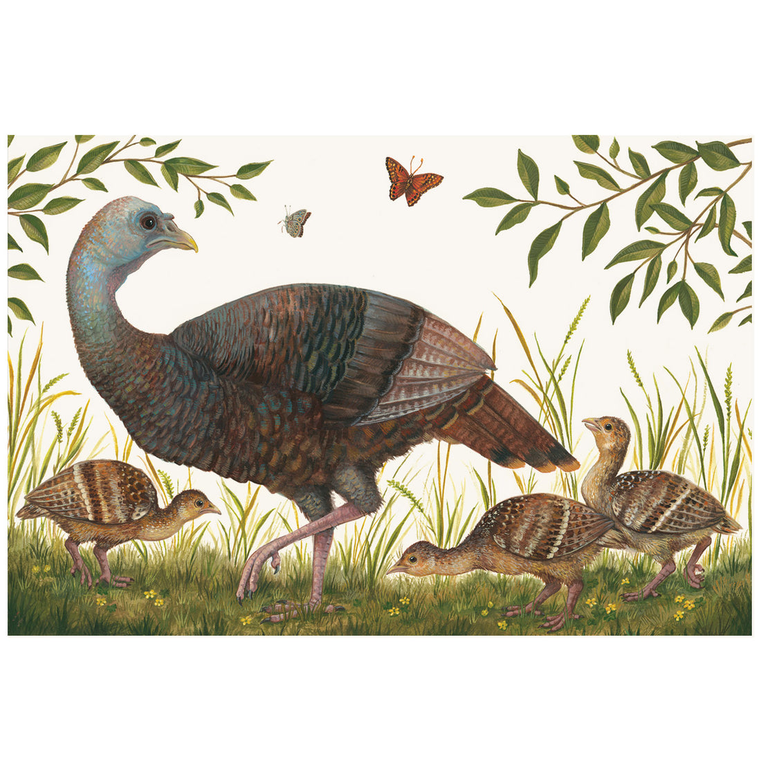 A realistic illustration of a brown and blue female turkey and her three brown, speckled chicks, standing in green grass surrounded by leafy branches and two butterflies, on a white background.