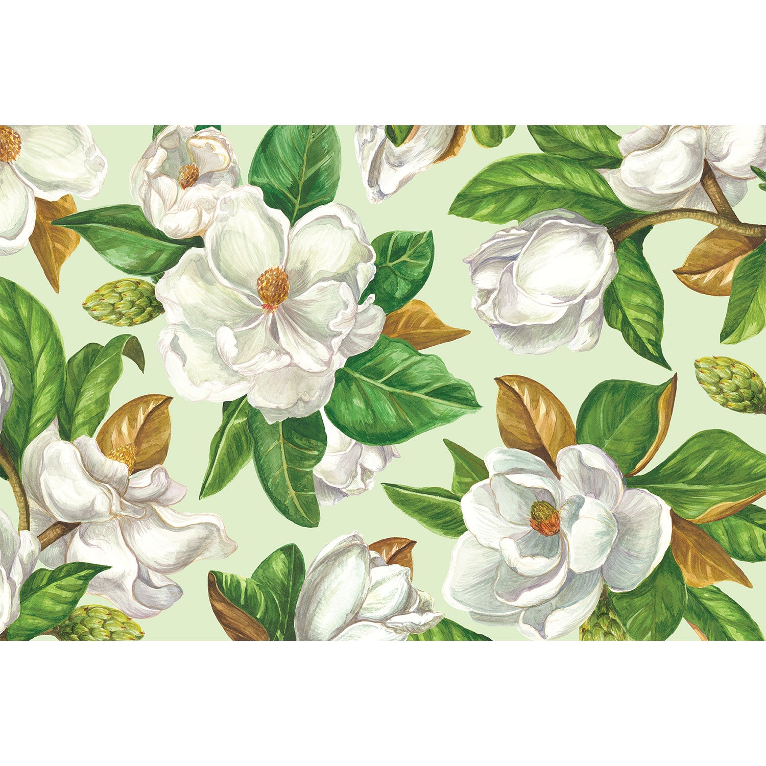 An illustrated scatter of large, white magnolia blossoms with green and brown leaves, stems and buds, on a mint green background.
