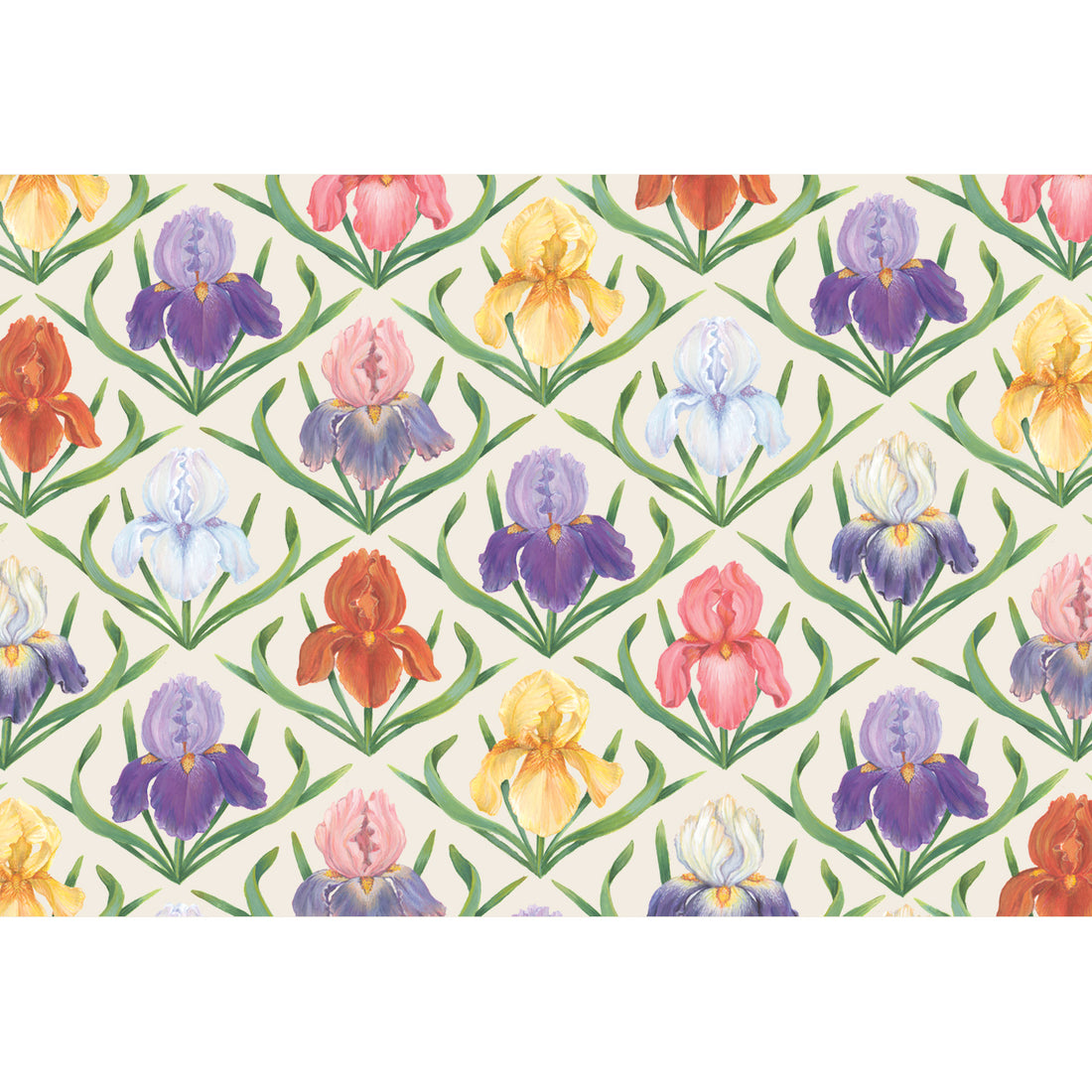 An illustrated diagonal grid of colorful iris blooms in purple, white, pink, red and yellow, each framed with long green leaves, over a cream background.