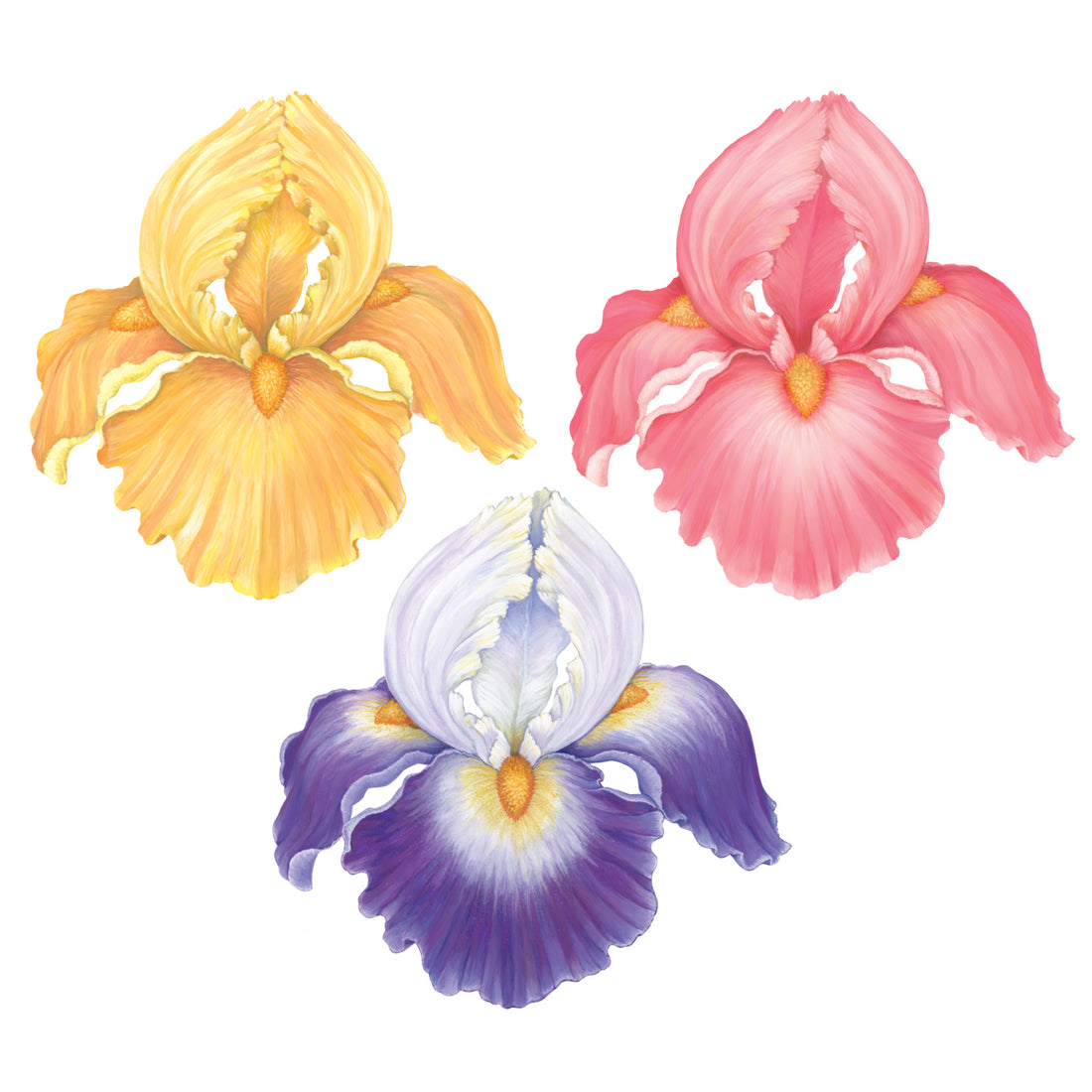 Three die-cut illustrated iris blooms: one in bright yellow, one in soft pink, and one in deep purple and white.