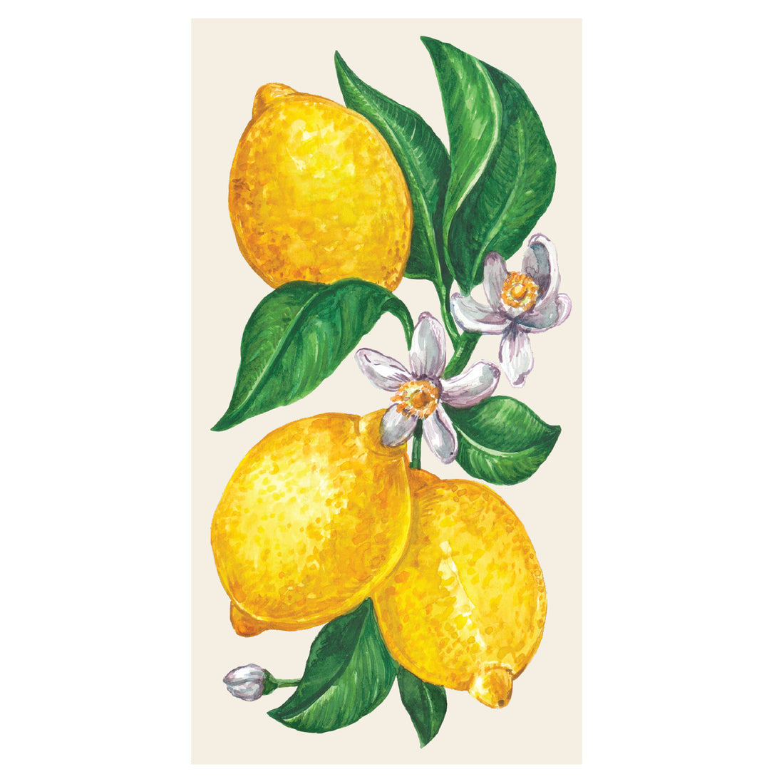 A rectangle guest napkins featuring a charming illustration of lemons and leaves on a white background, perfect for any occasion. (Brand: Hester &amp; Cook).