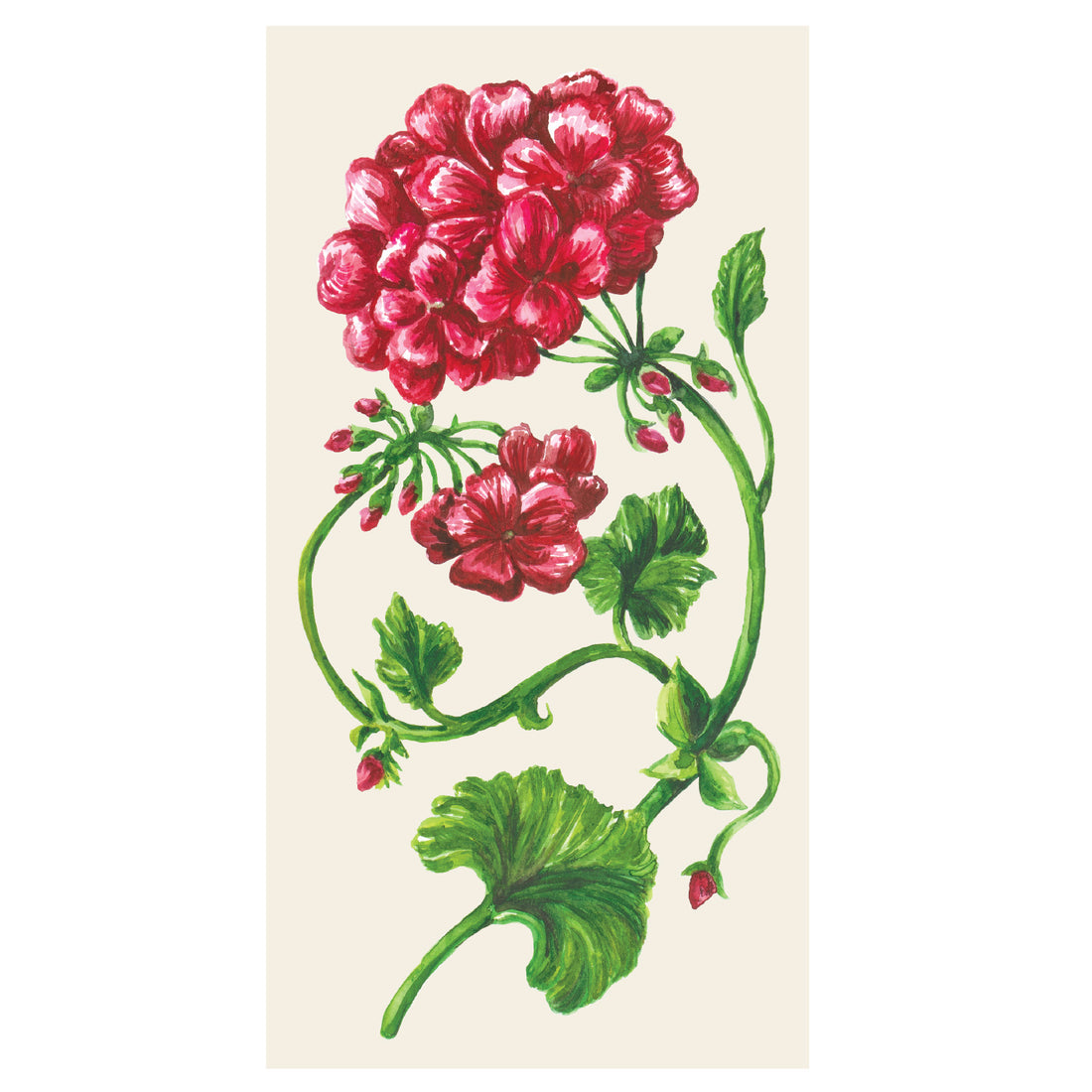 A rectangle, white guest napkin featuring illustrated, deep red geranium blooms on vibrant green stems with wide leaves.