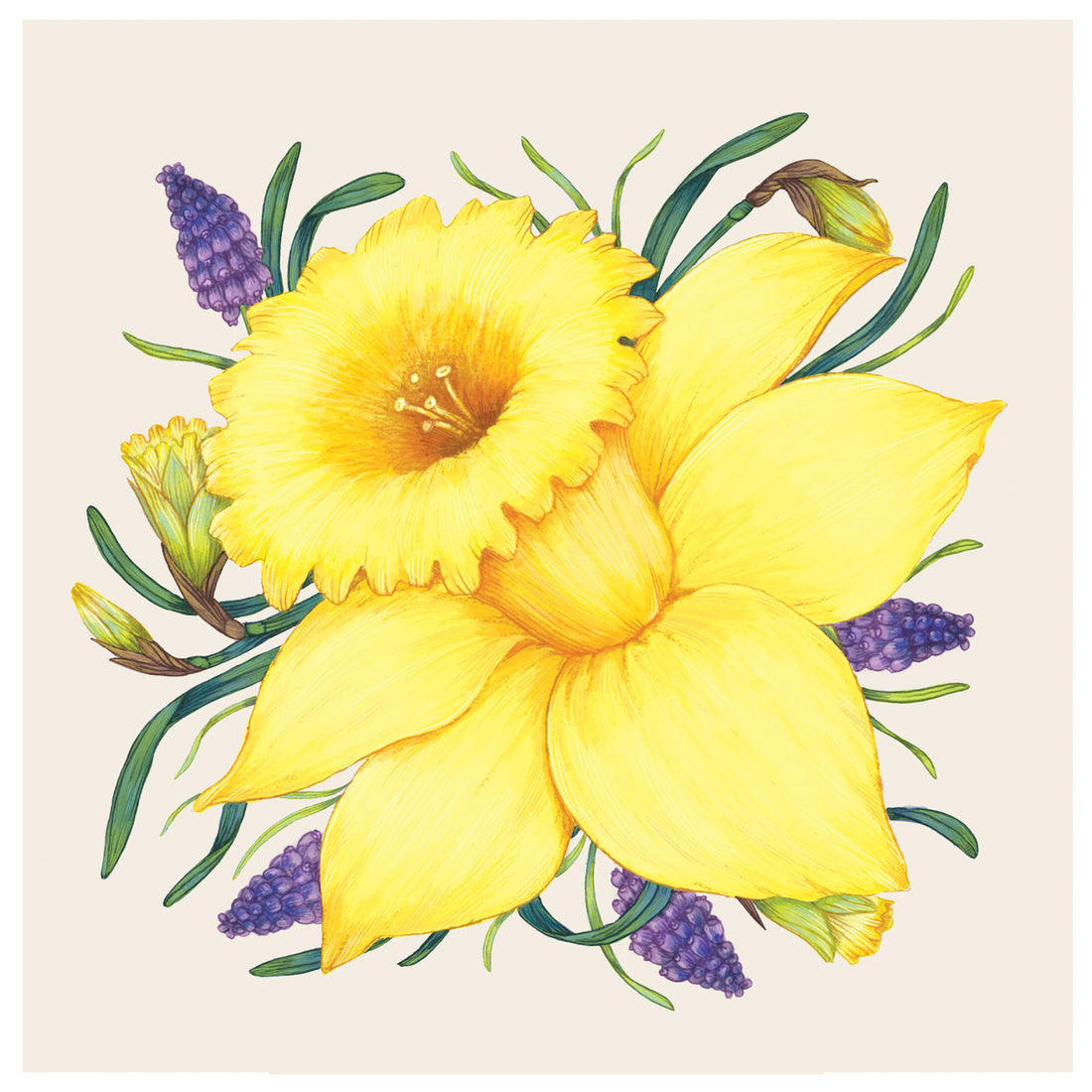 A square, cream cocktail napkin featuring a vibrant, illustrated yellow daffodil blossom surrounded by purple flowers and green leaves.