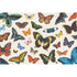 A variety of colorful butterflies displayed against a light background on Hester & Cook&