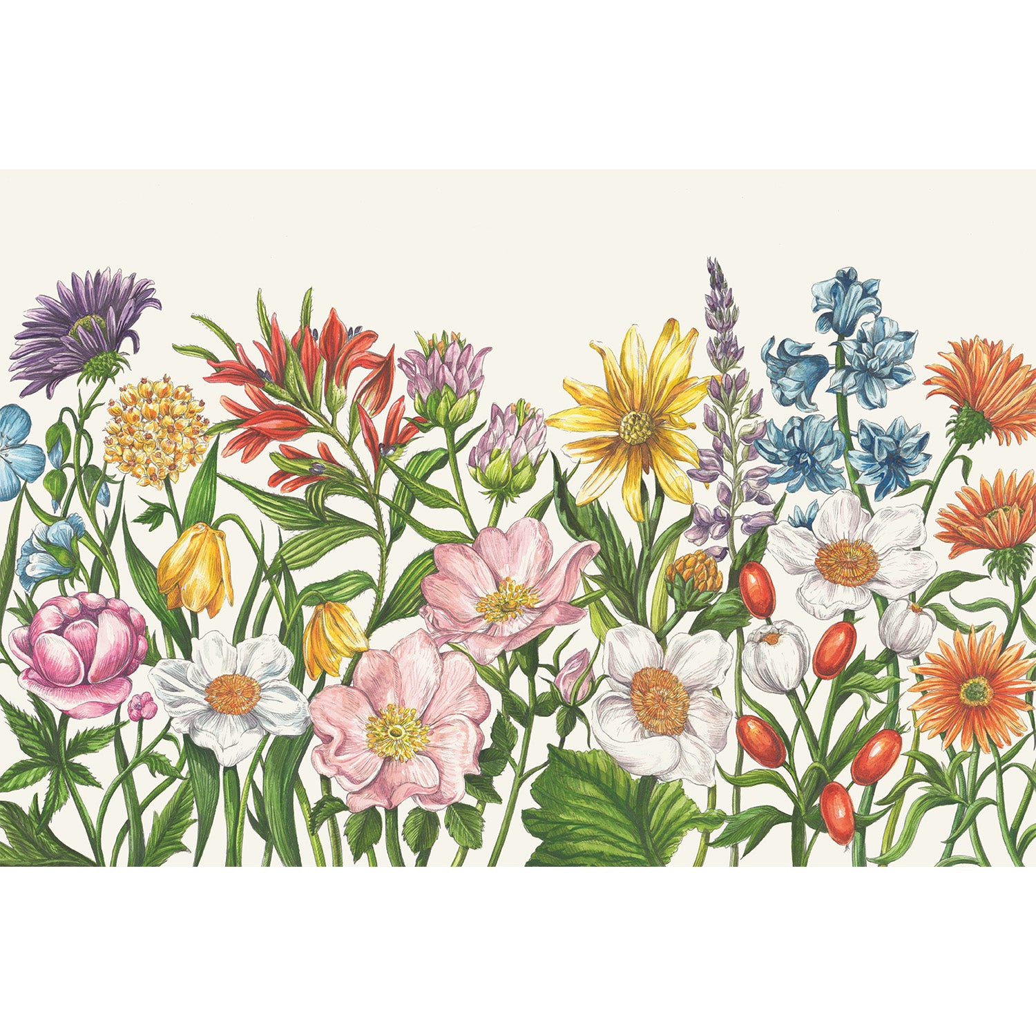 Wildflower Meadow Placemat featuring a hand-drawn illustration of colorful Wildflowers on an off-white, rectangular background.